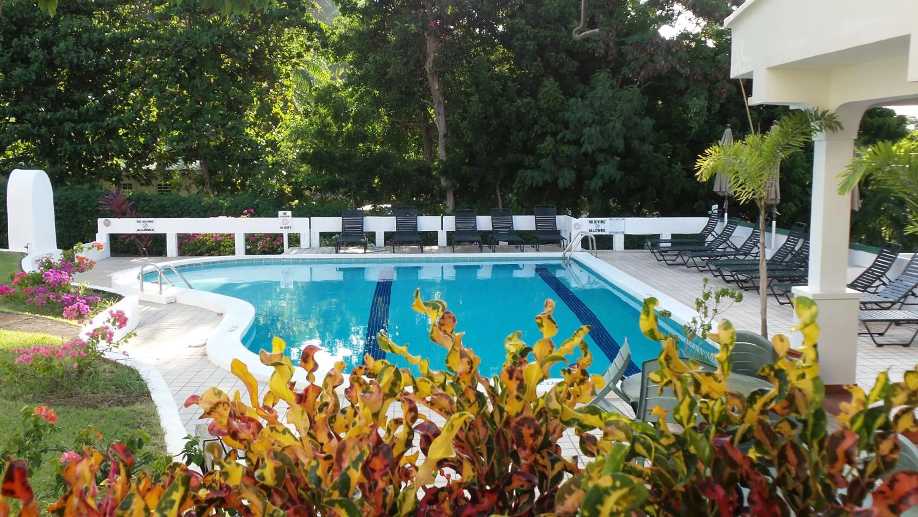 Garden in Siesta Hotel