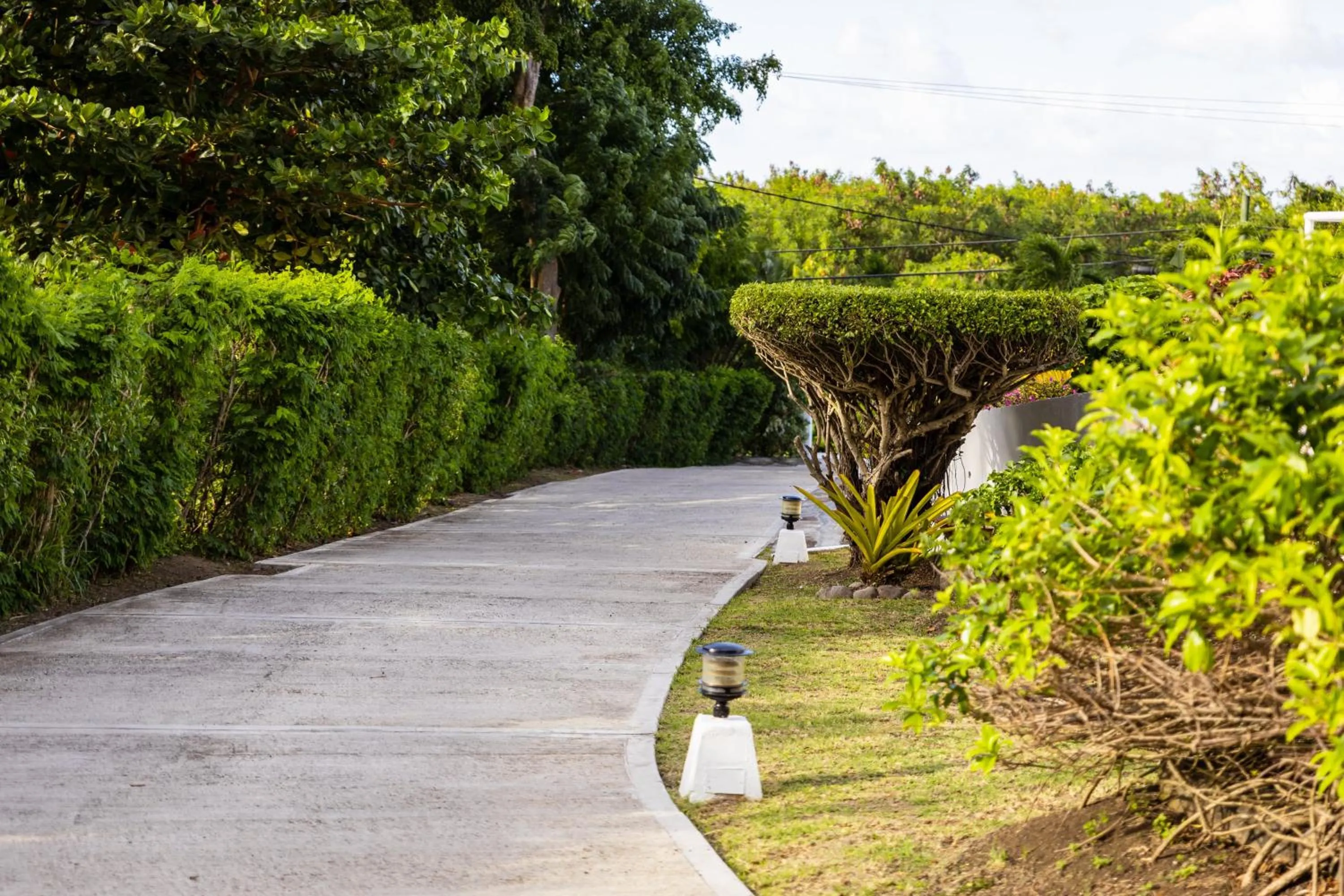 Garden view in Siesta Hotel