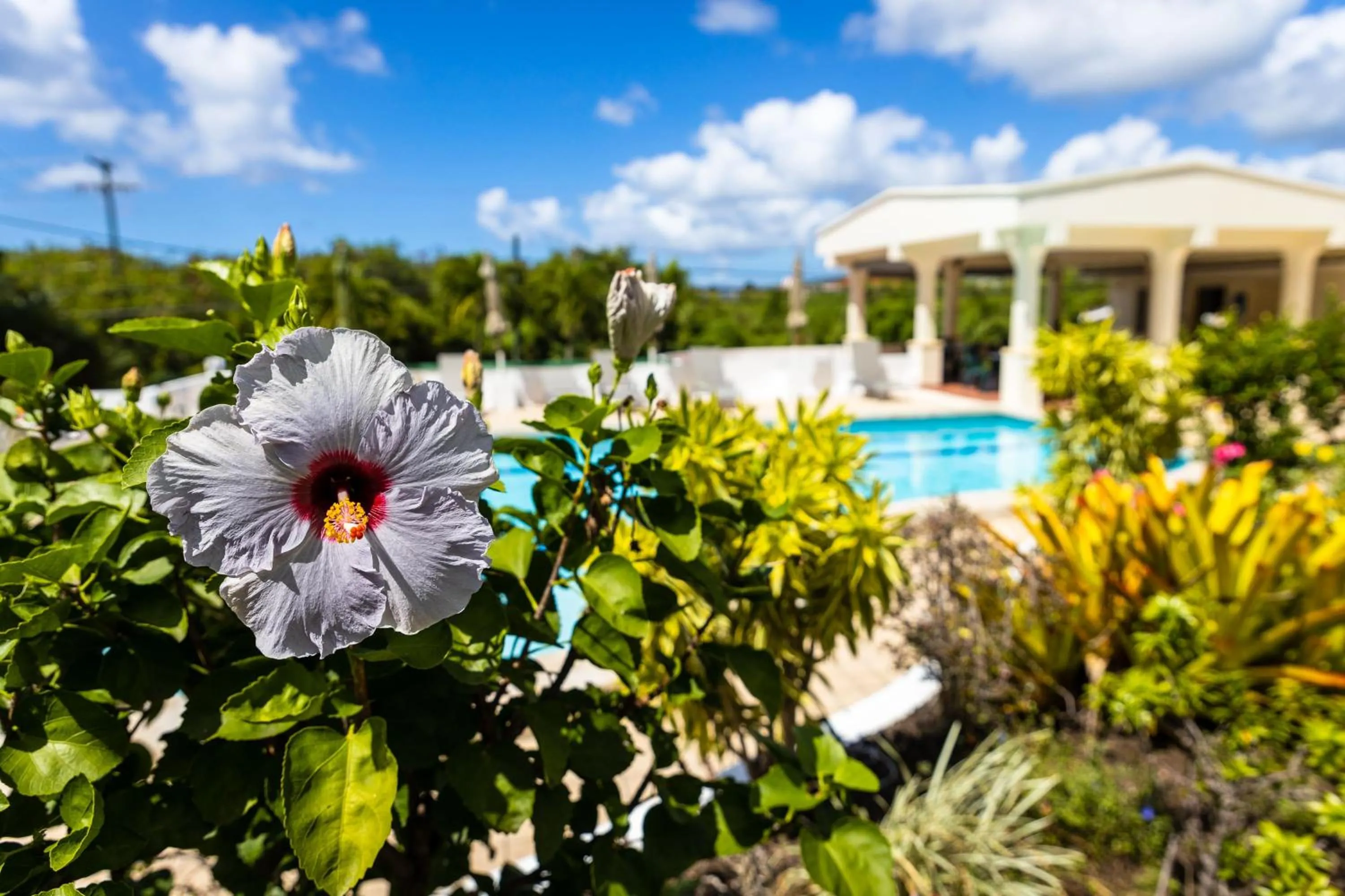 Garden in Siesta Hotel