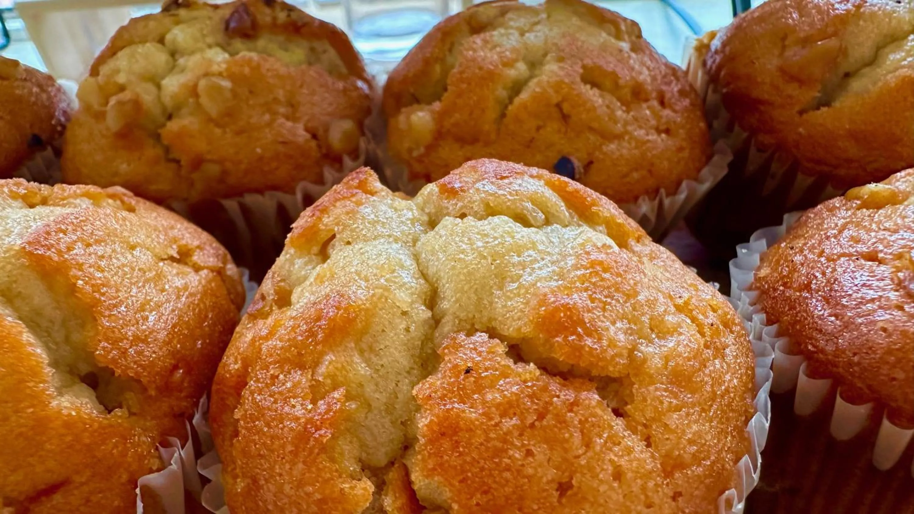 Restaurant/places to eat in Desert Air Motel