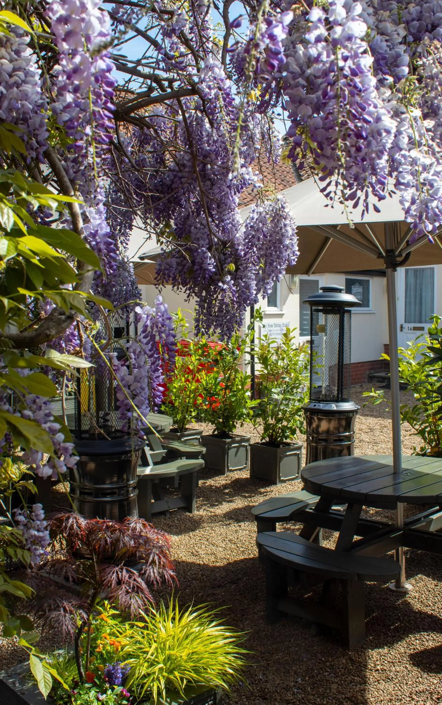 Restaurant/places to eat in J.D.Young