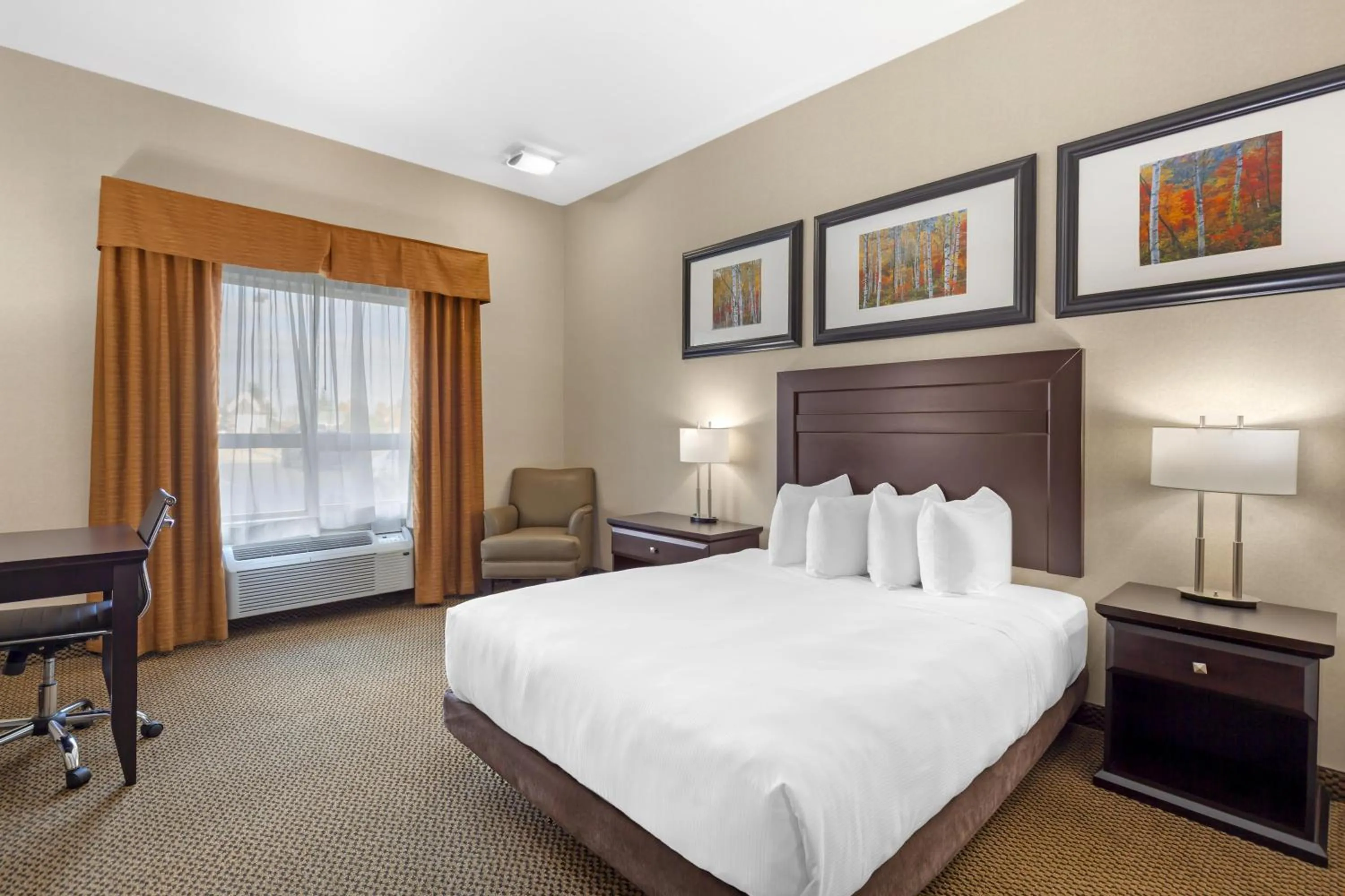 Bedroom, Bed in Best Western Bonnyville Inn & Suites