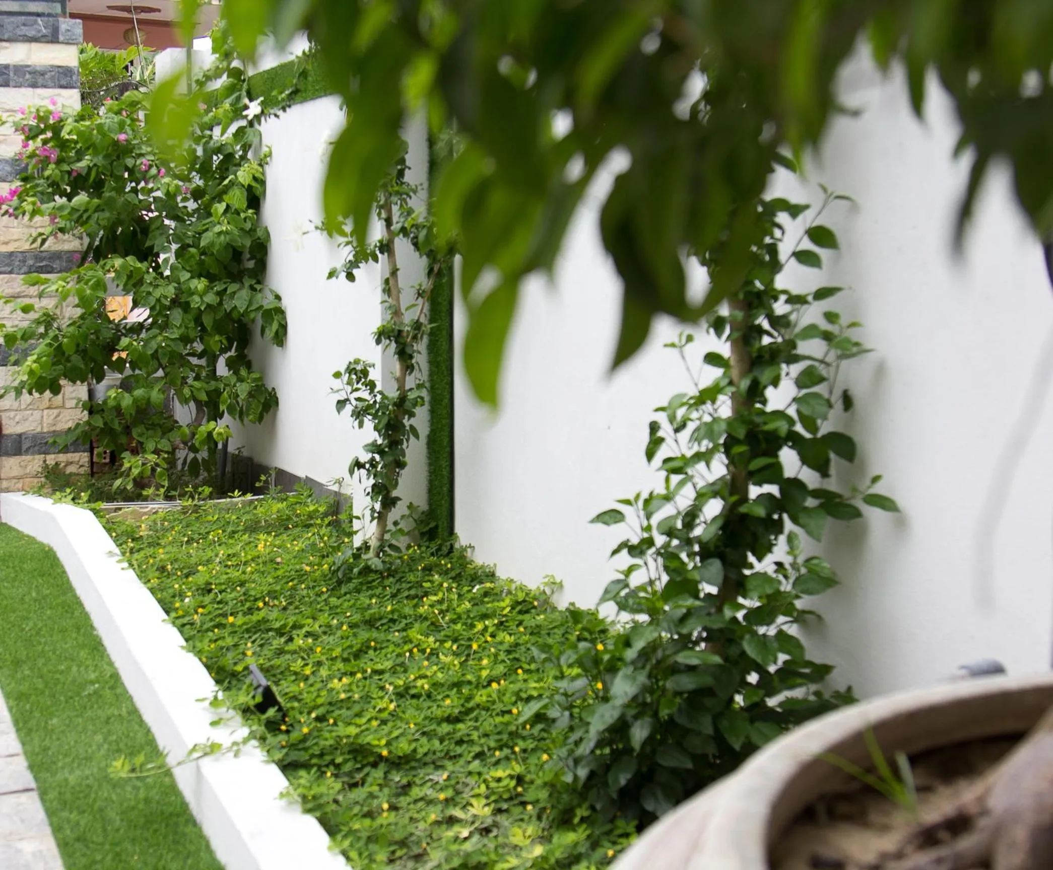 Garden in Bean Grass Homestay