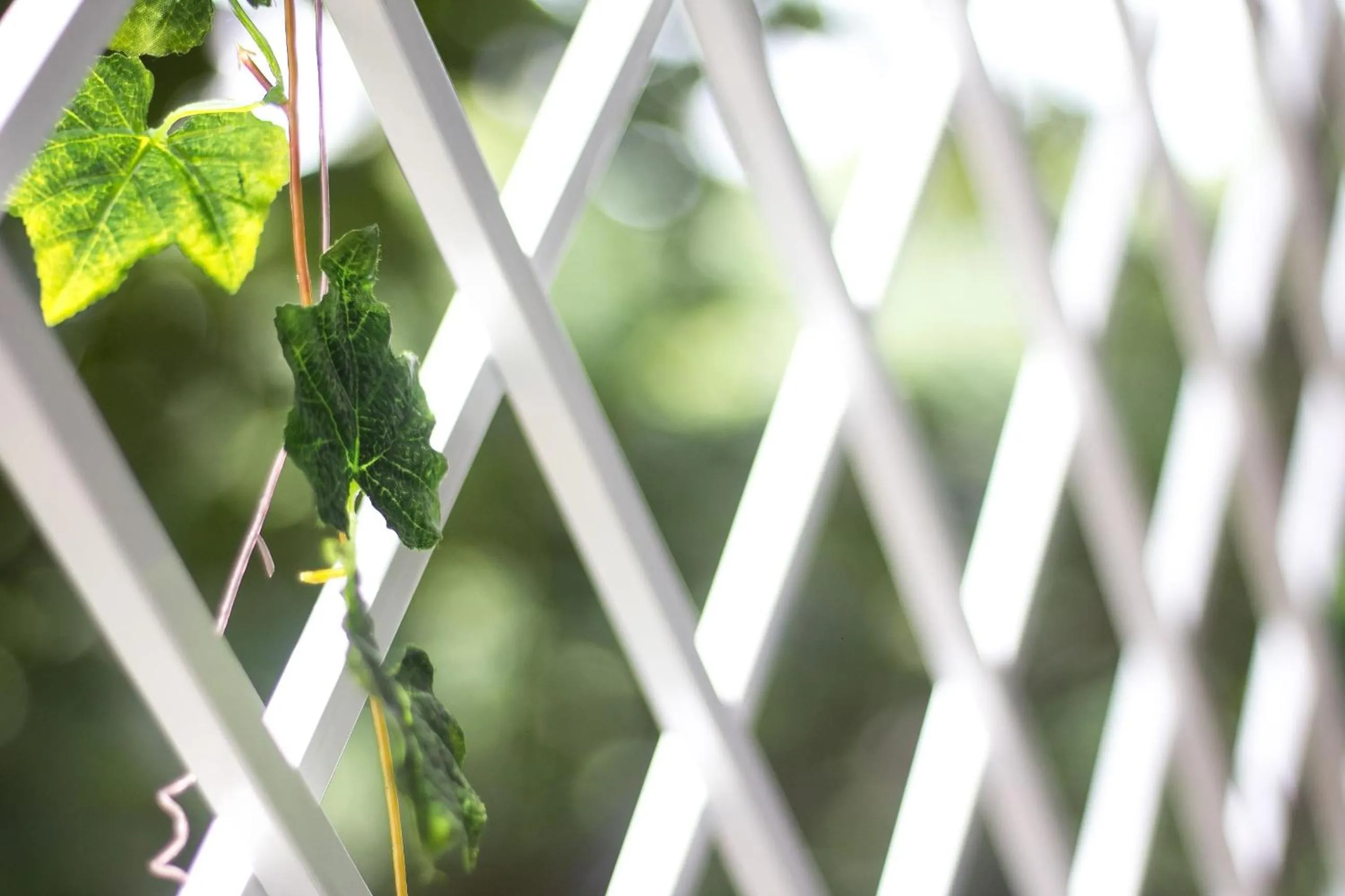 Property building in Bean Grass Homestay