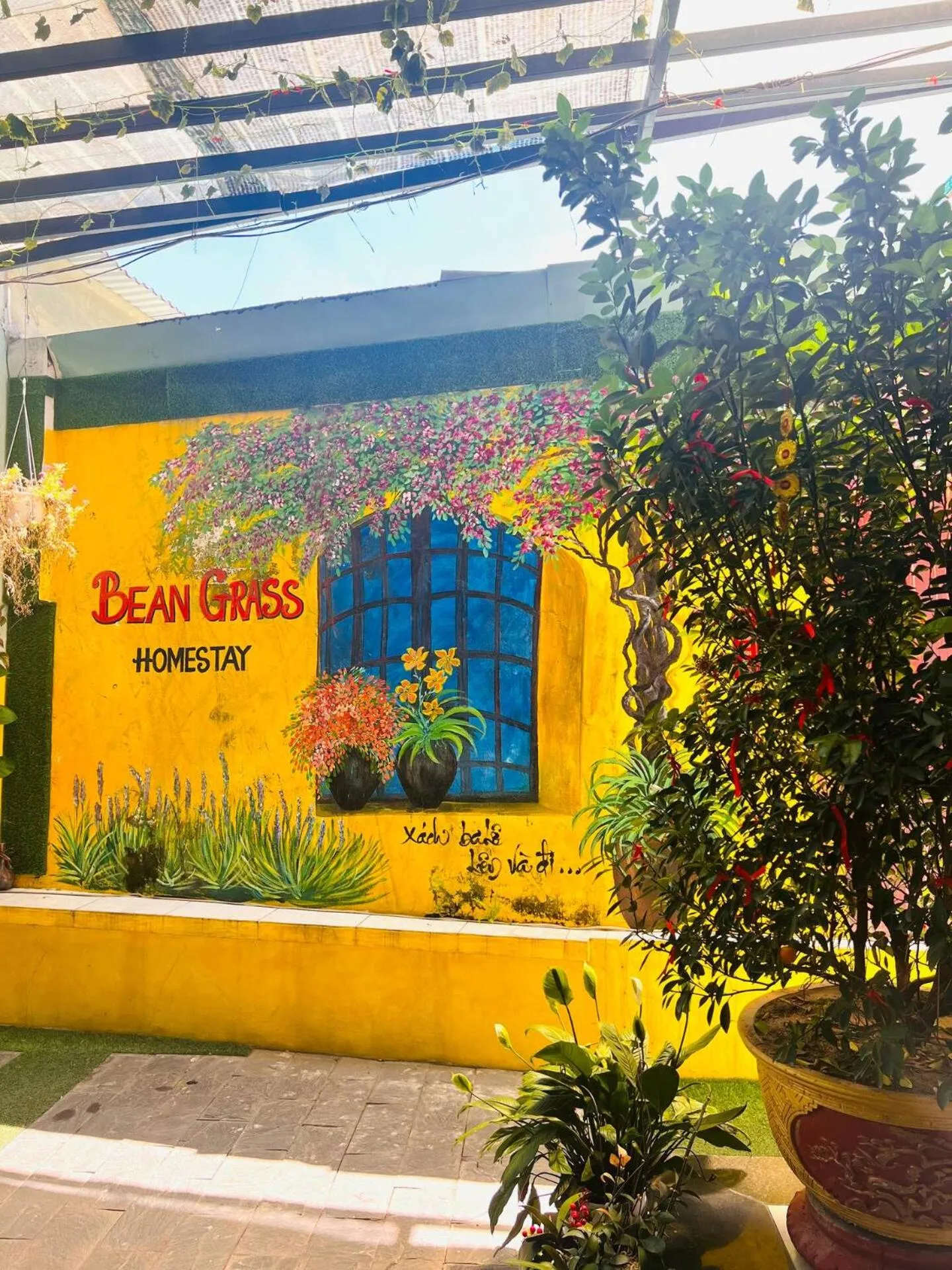 Bean Grass Homestay