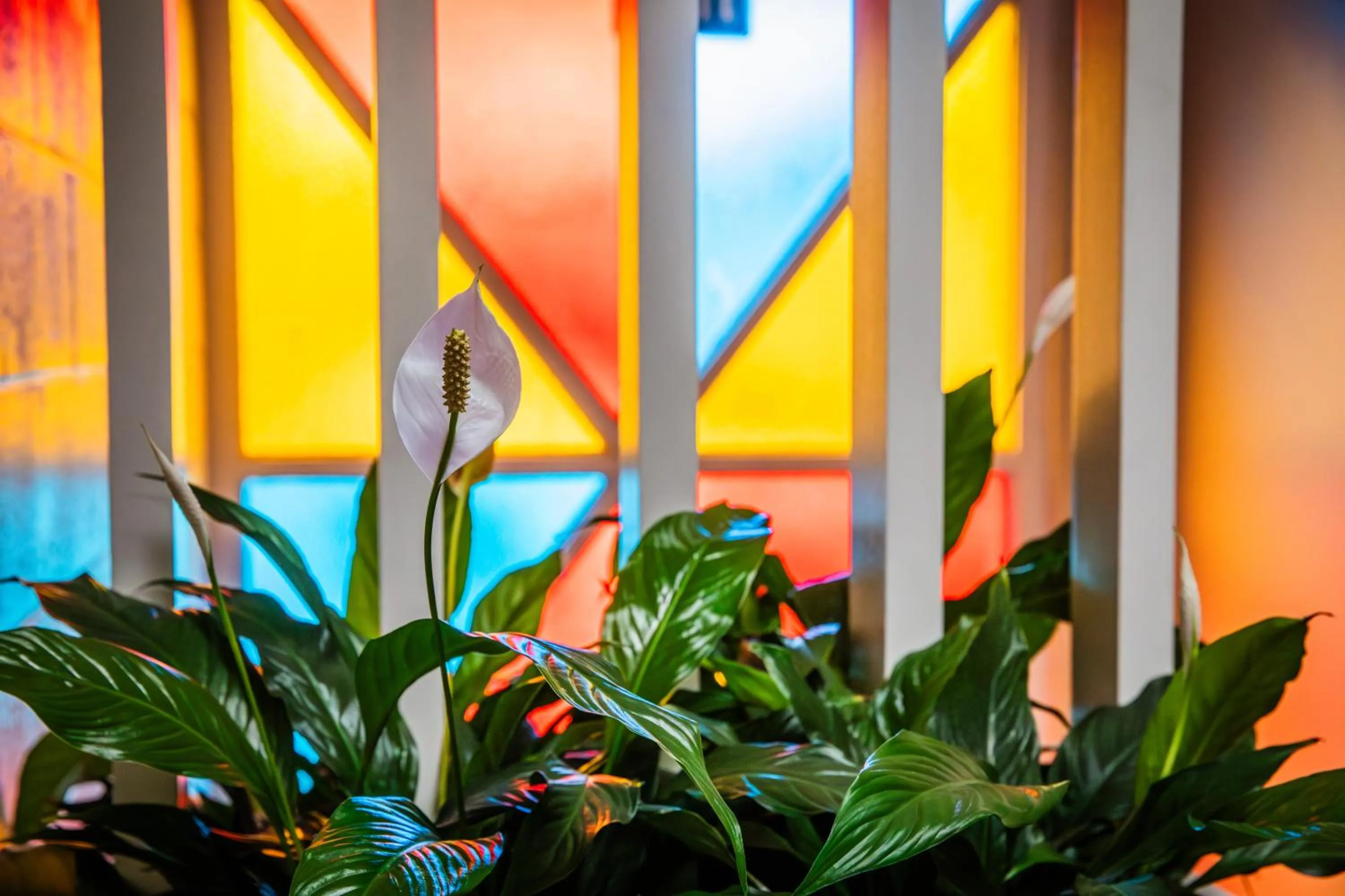 Facade/entrance in Admirals Motor Inn