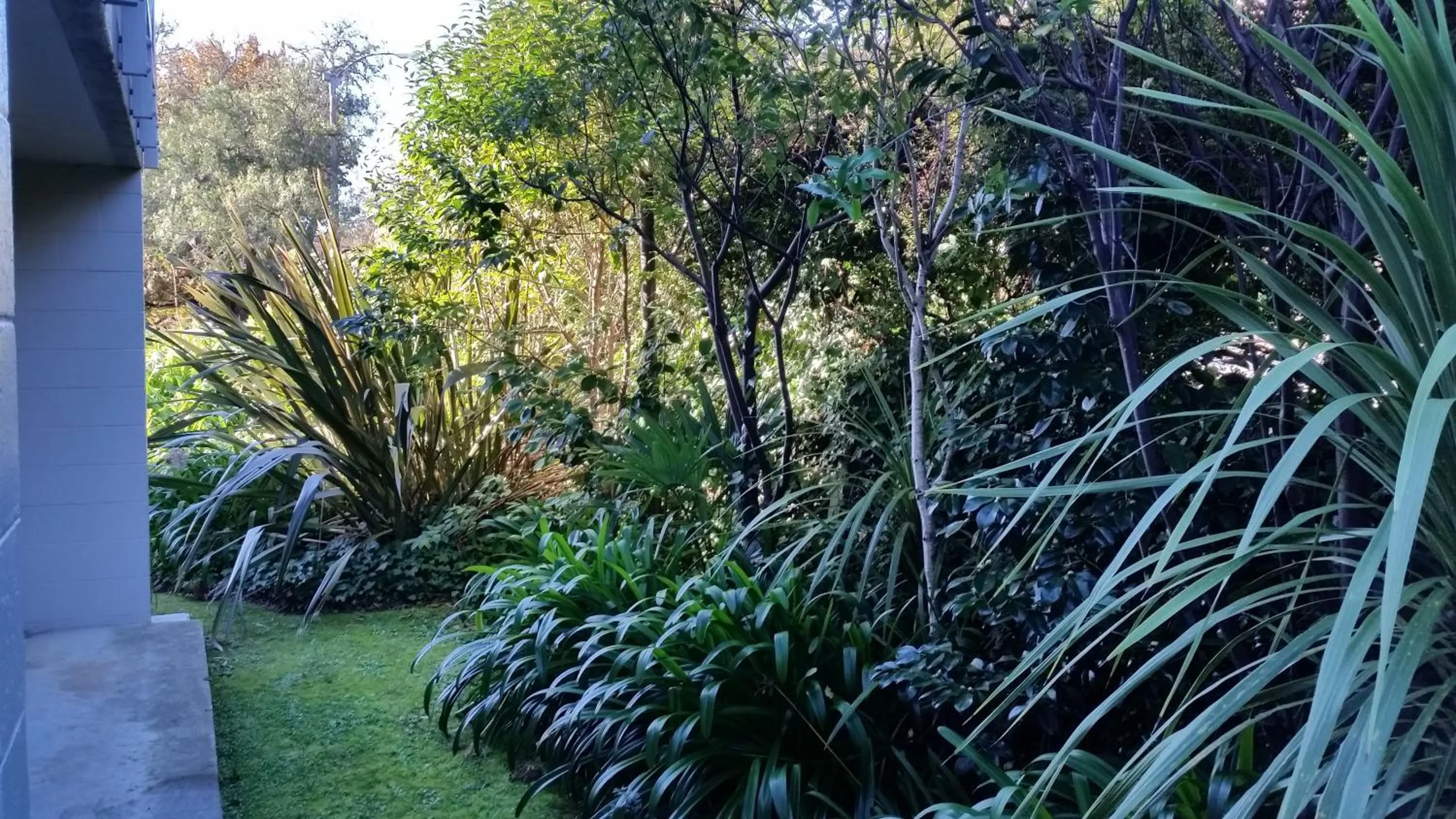 Garden in Admirals Motor Inn