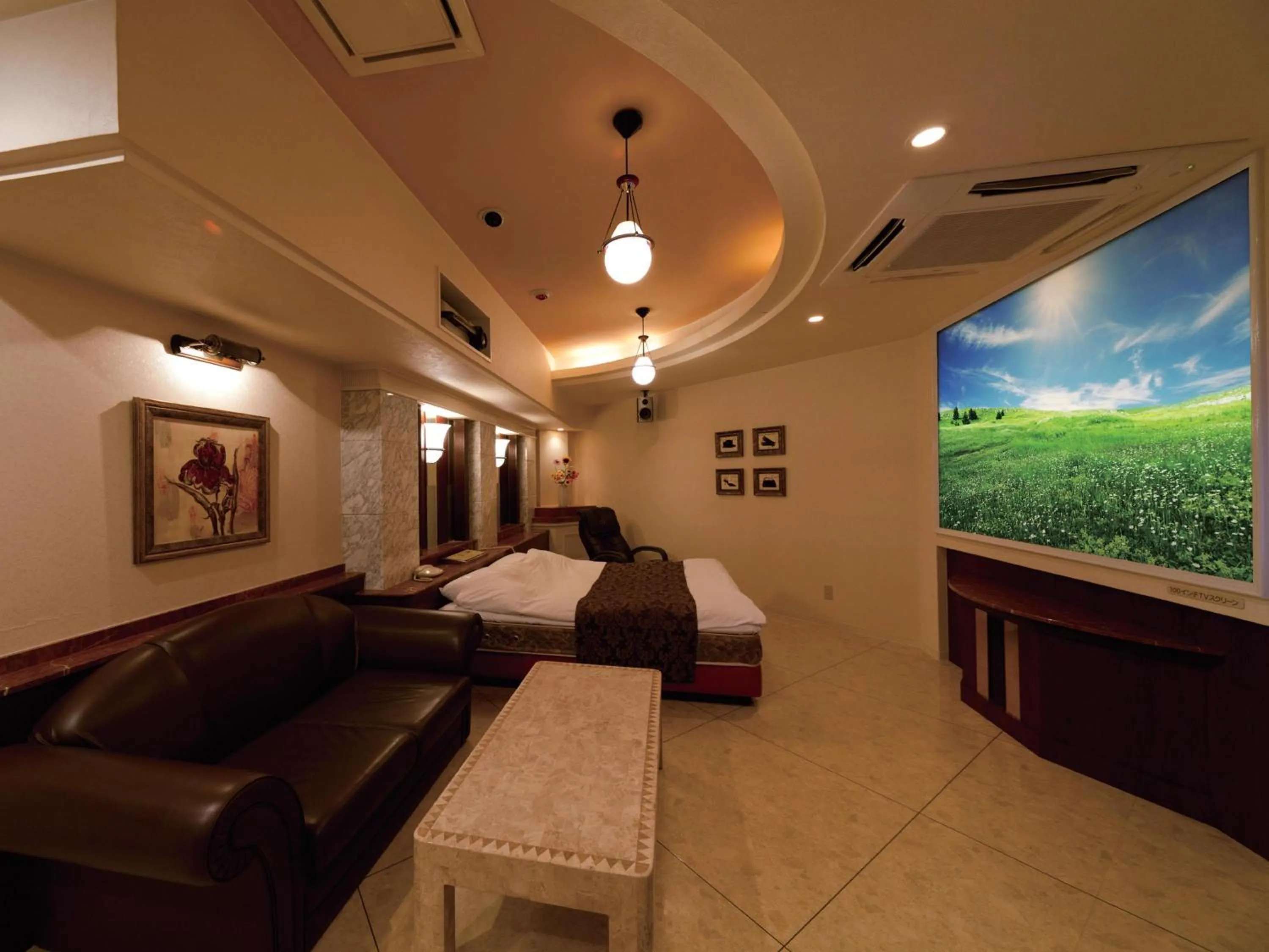 TV and multimedia, Bed in Hotel Fine Garden Juso