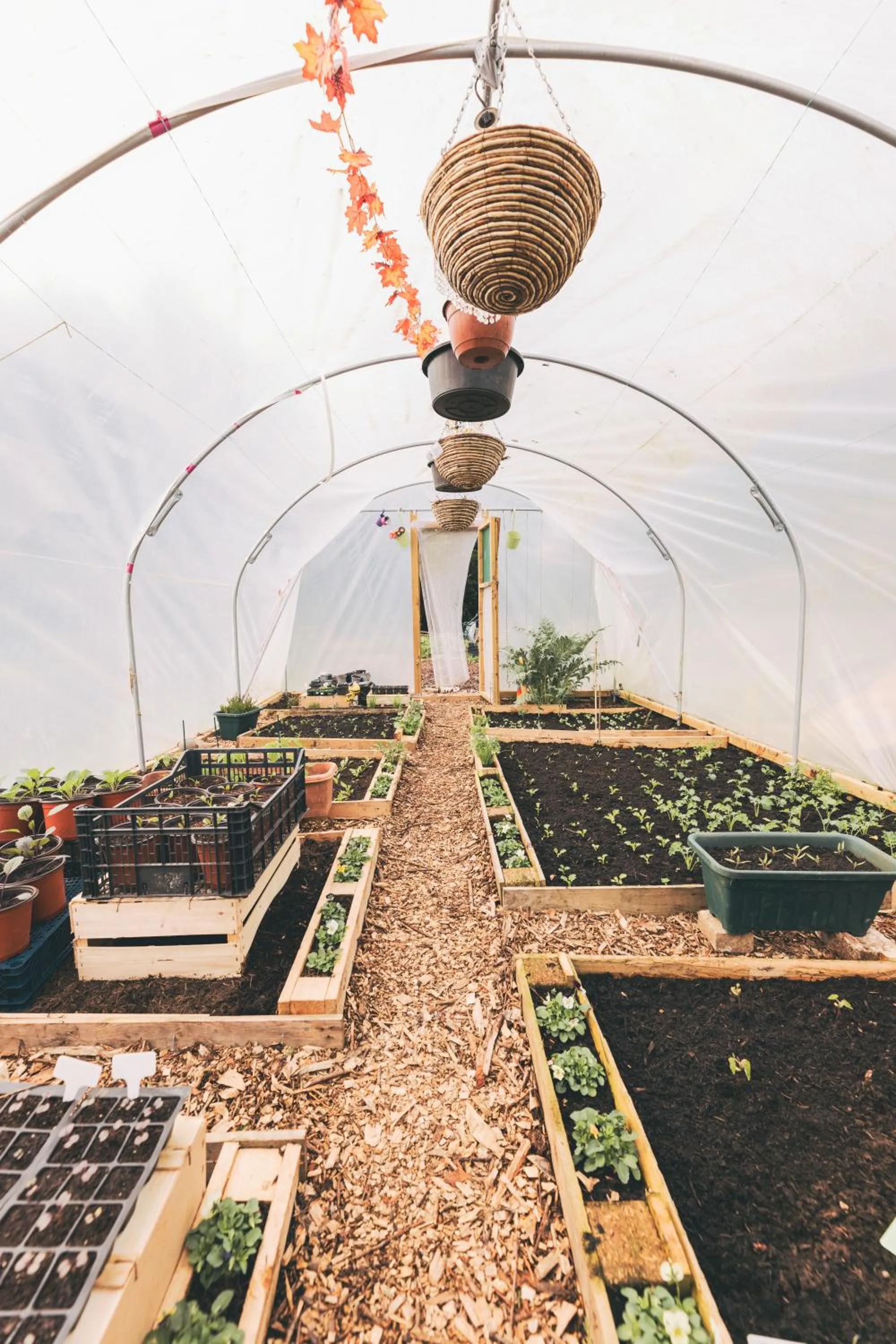 Garden in The Auberge