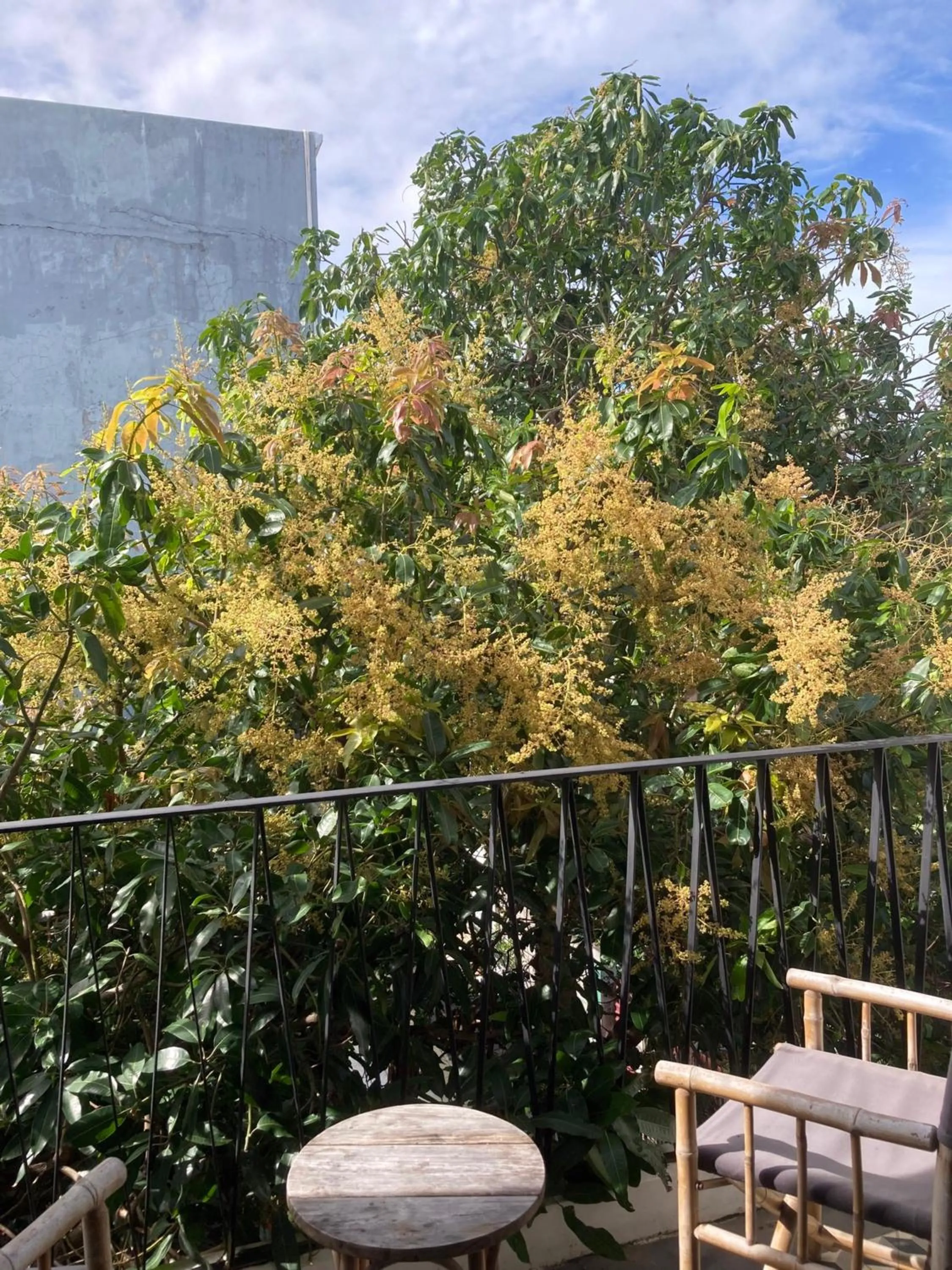Balcony/Terrace in Green River Boutique Hotel