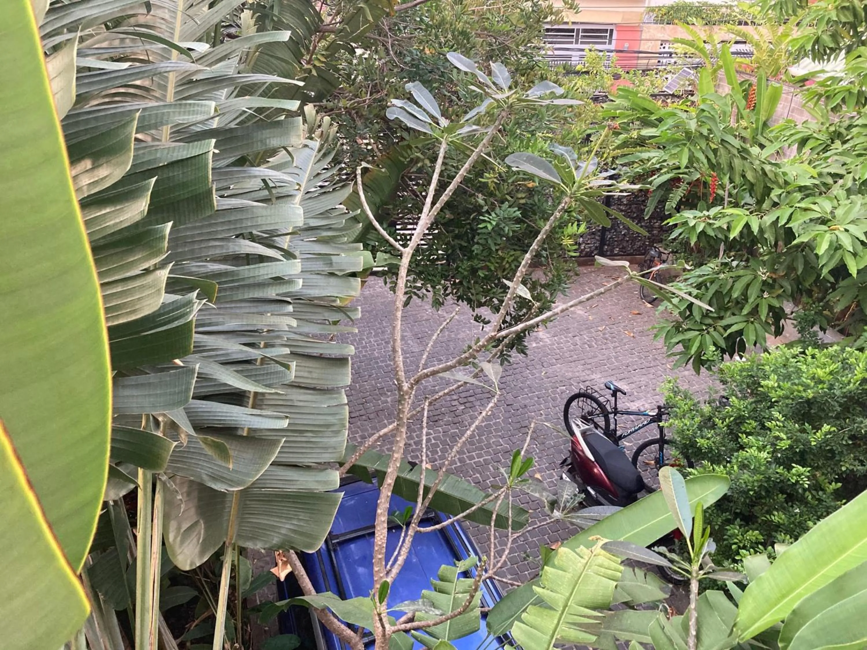 Garden view in Green River Boutique Hotel