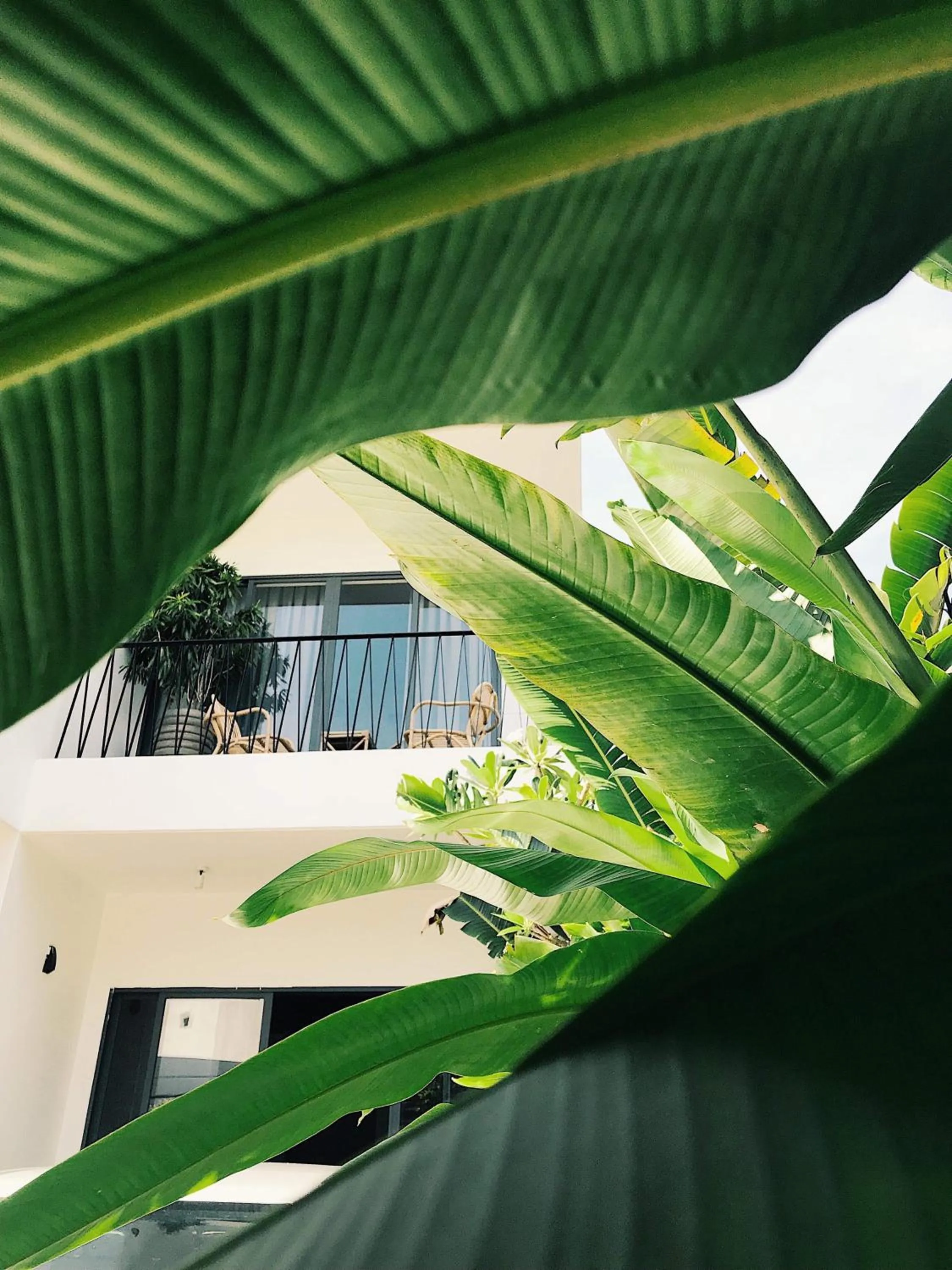 Balcony/Terrace in Green River Boutique Hotel