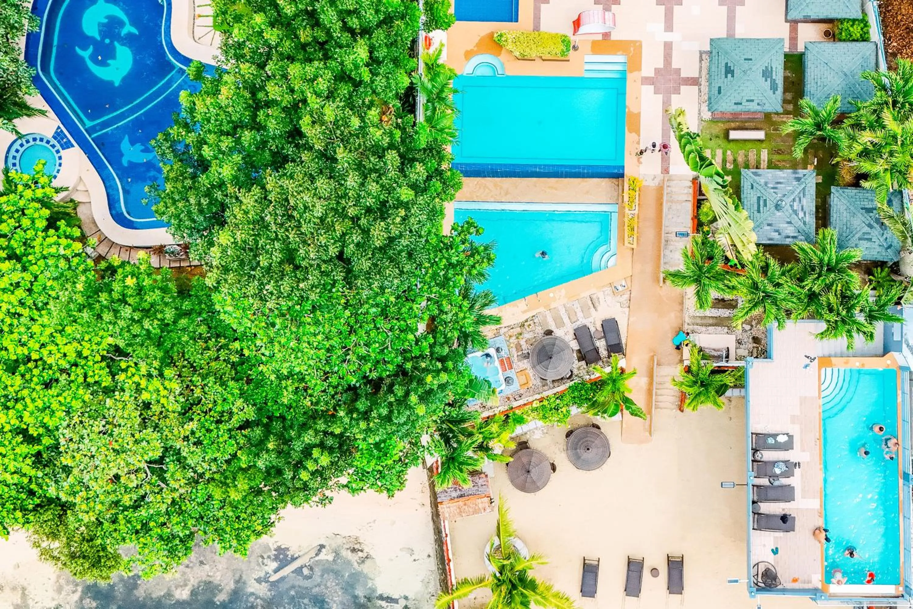 Palmbeach Resort Mactan Cebu powered by Cocotel