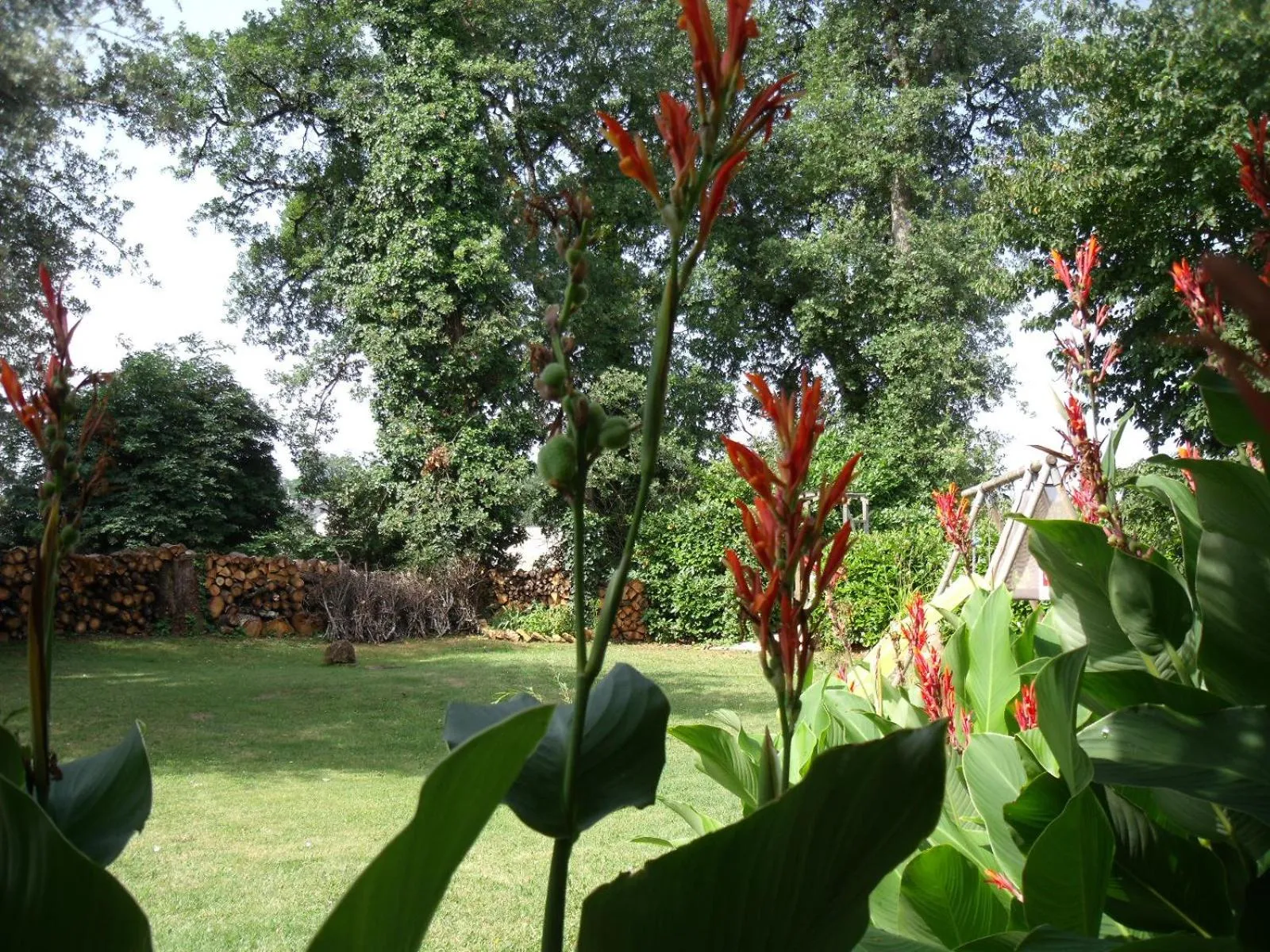 Garden in Logis Hôtel Restaurant La Borie