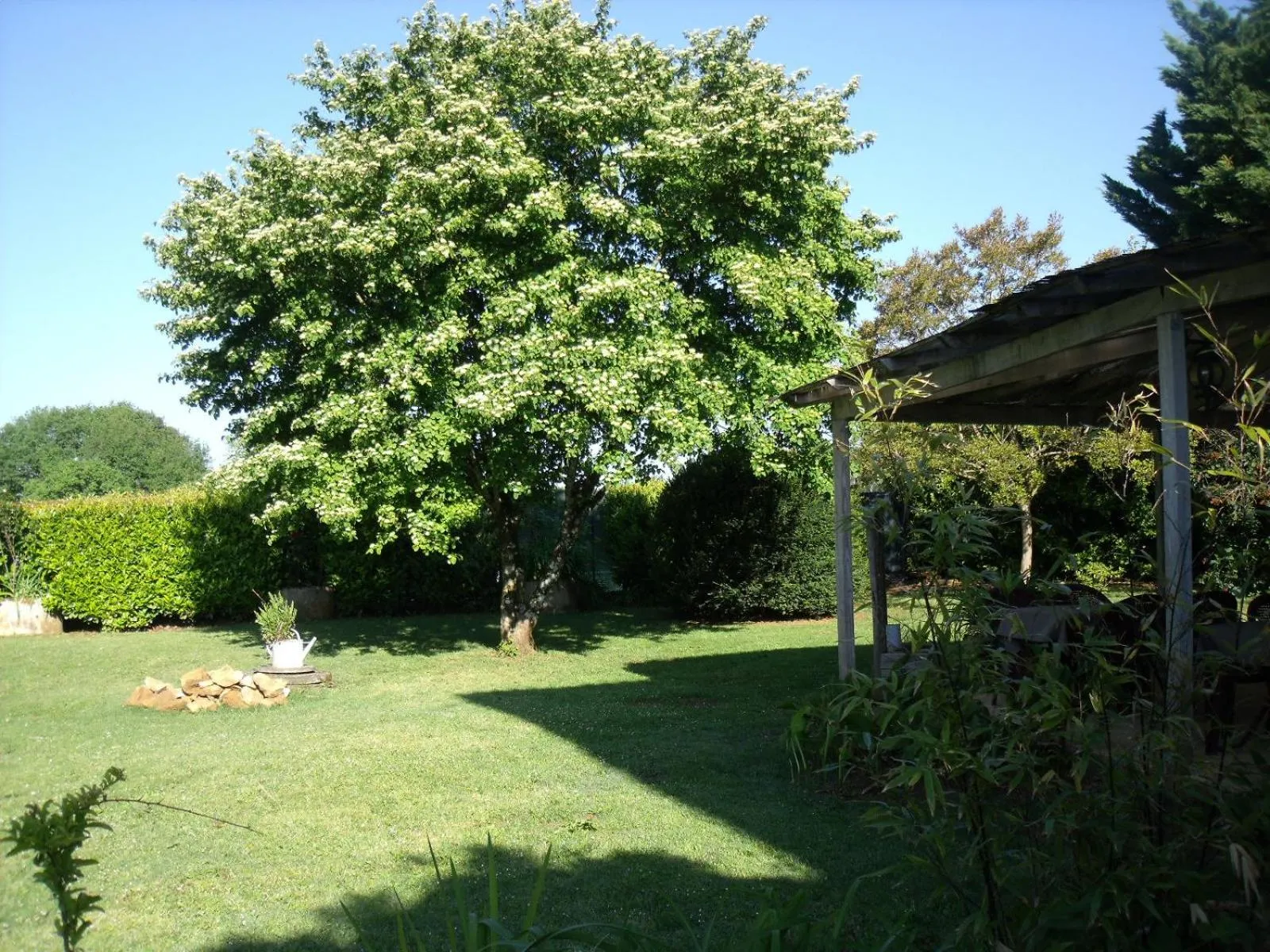 Garden in Logis Hôtel Restaurant La Borie