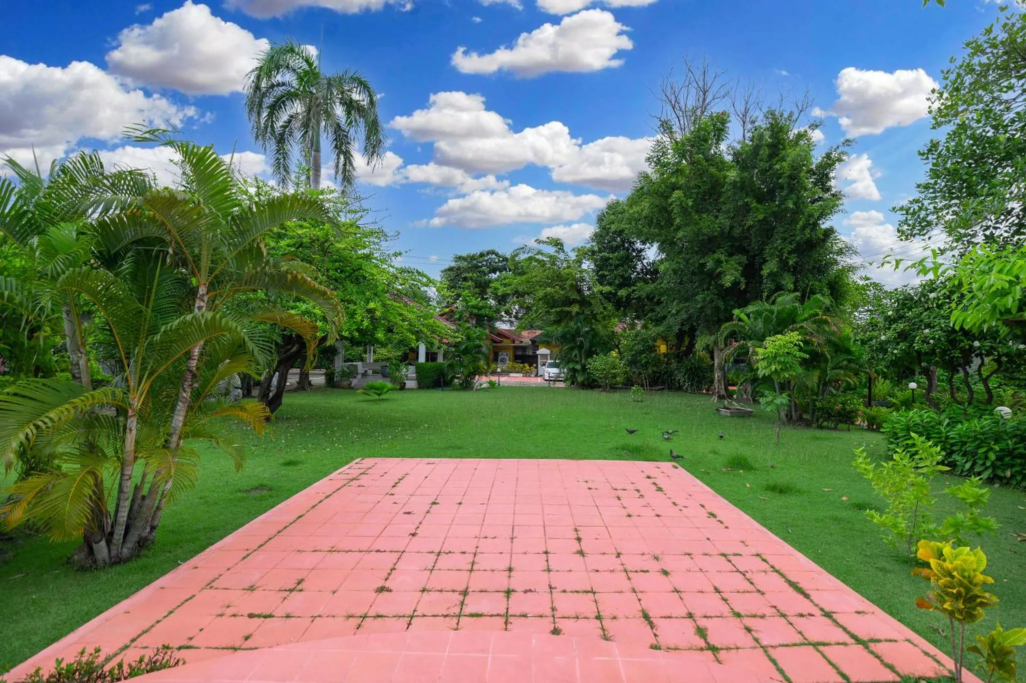 Garden in Bangkok Rama Hotel