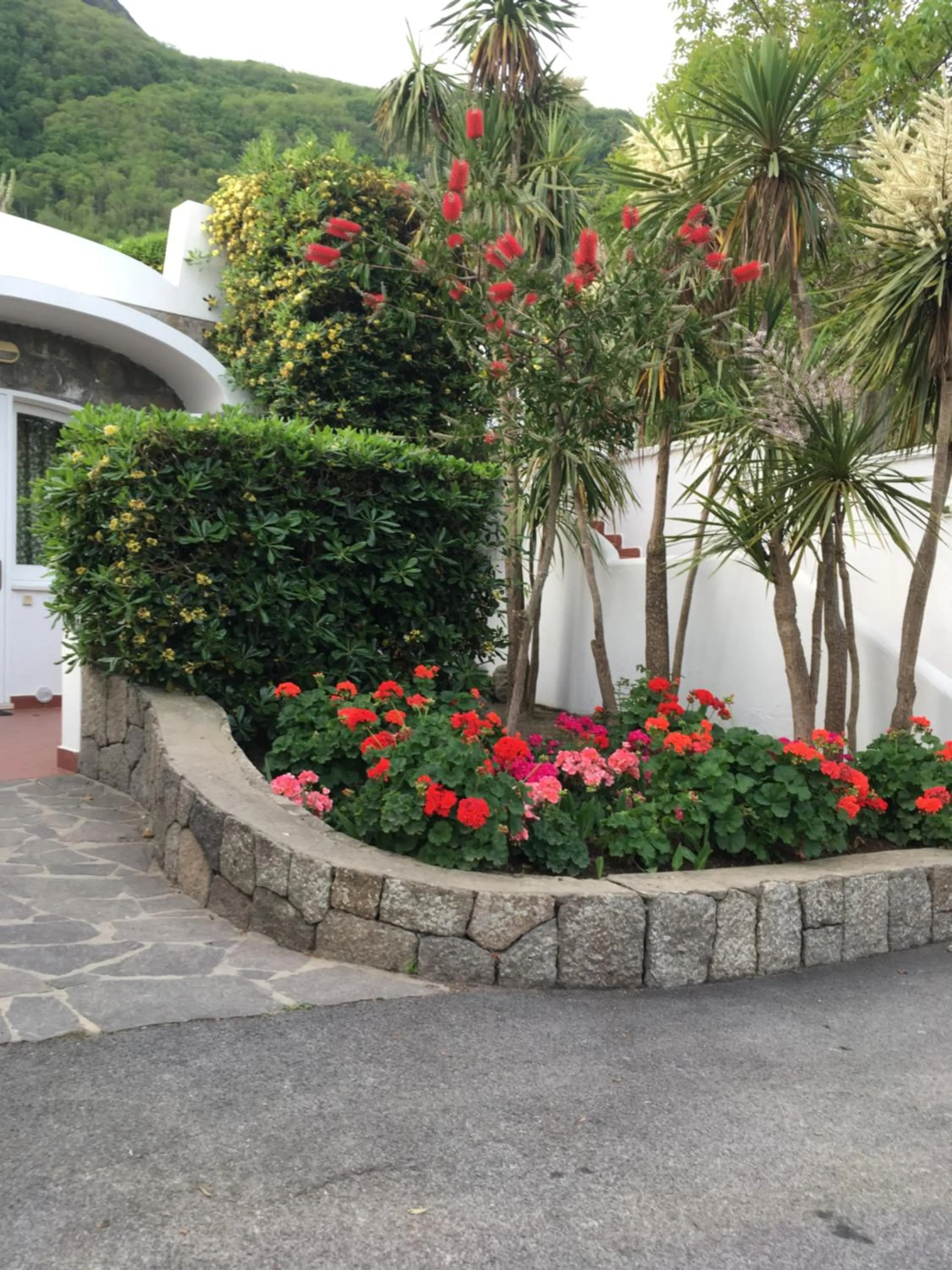 Garden view in Poggio Aragosta Hotel & Spa