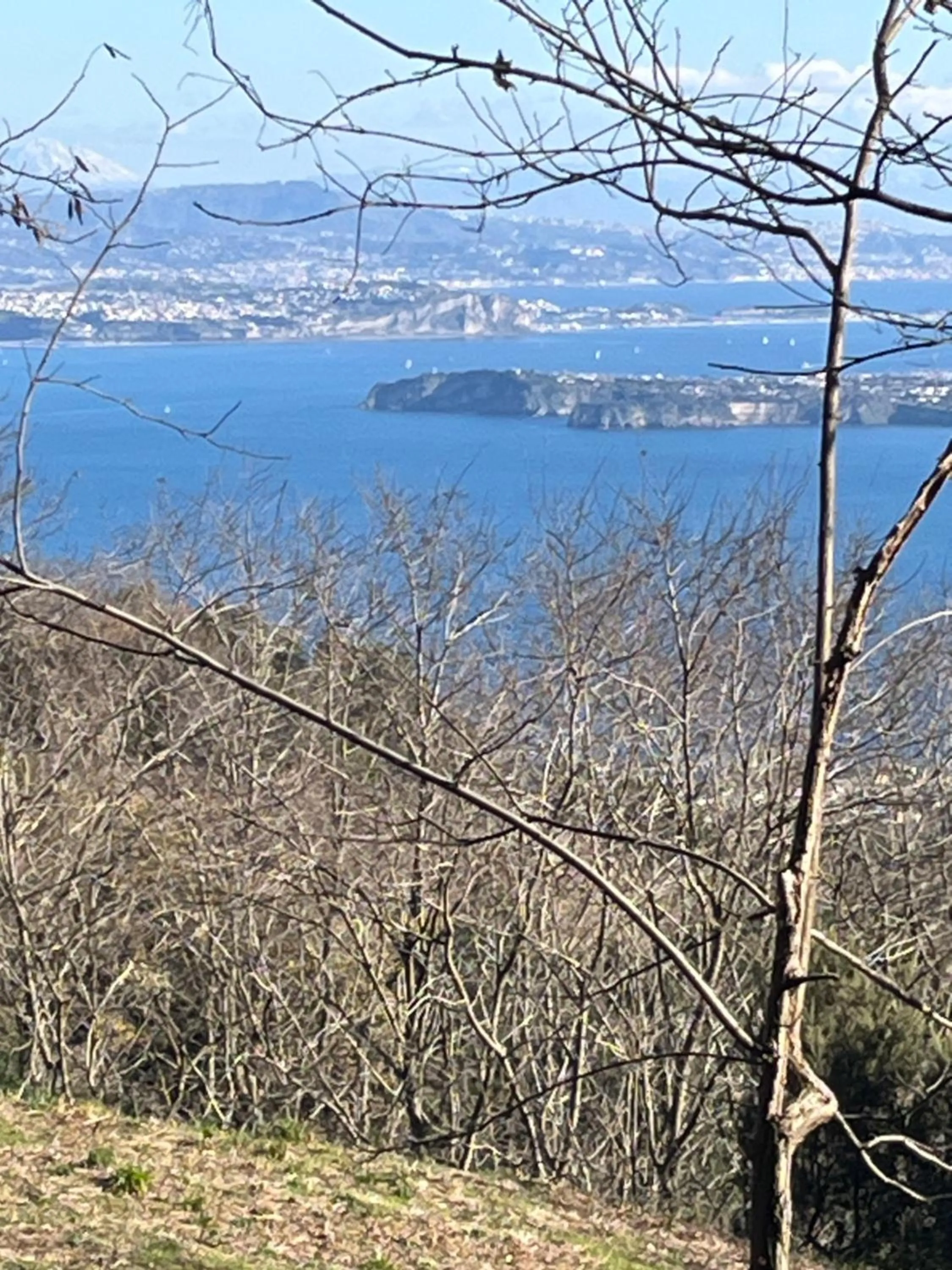 Sea view in Poggio Aragosta Hotel & Spa