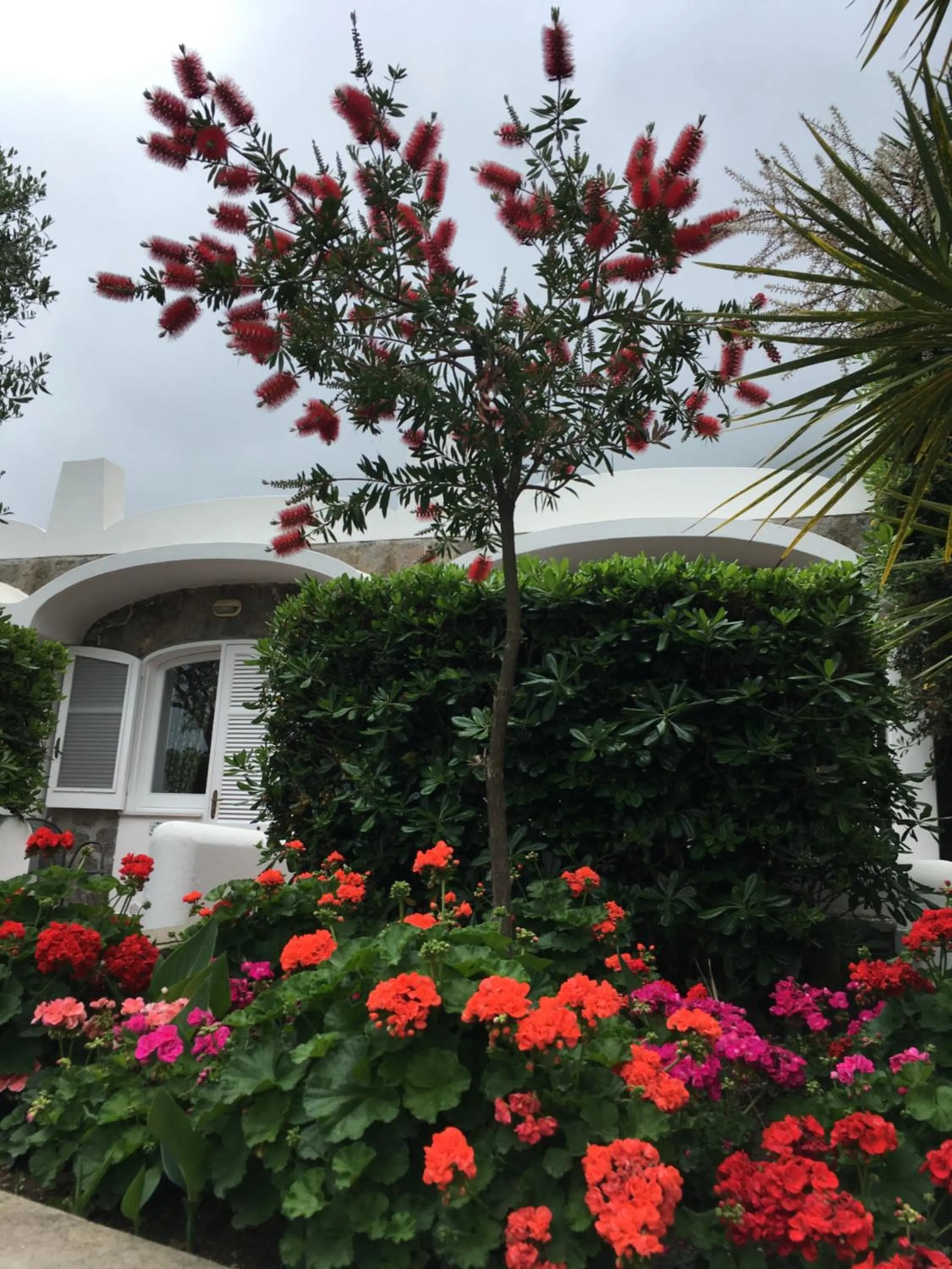 Patio in Poggio Aragosta Hotel & Spa