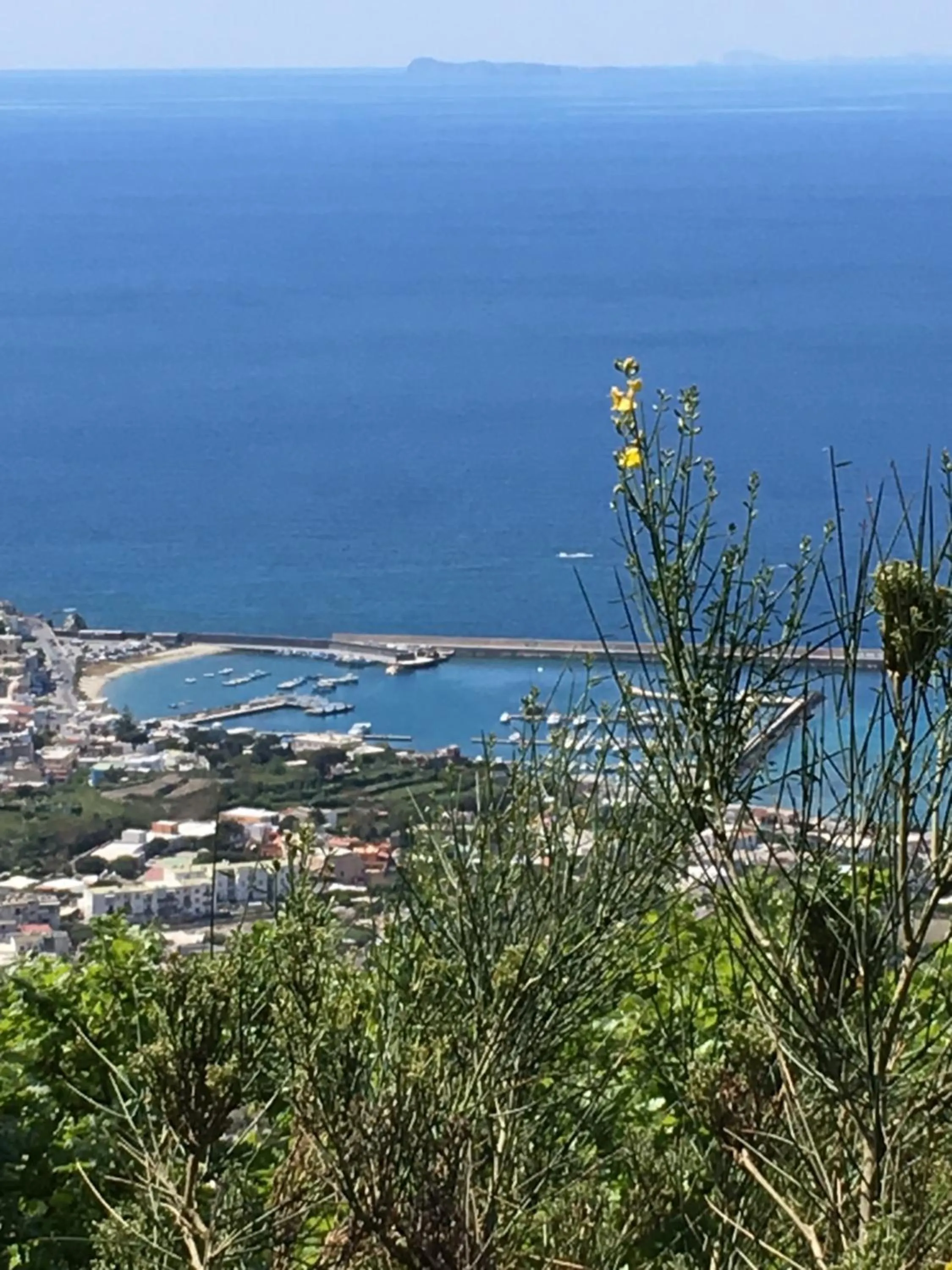 Natural landscape in Poggio Aragosta Hotel & Spa
