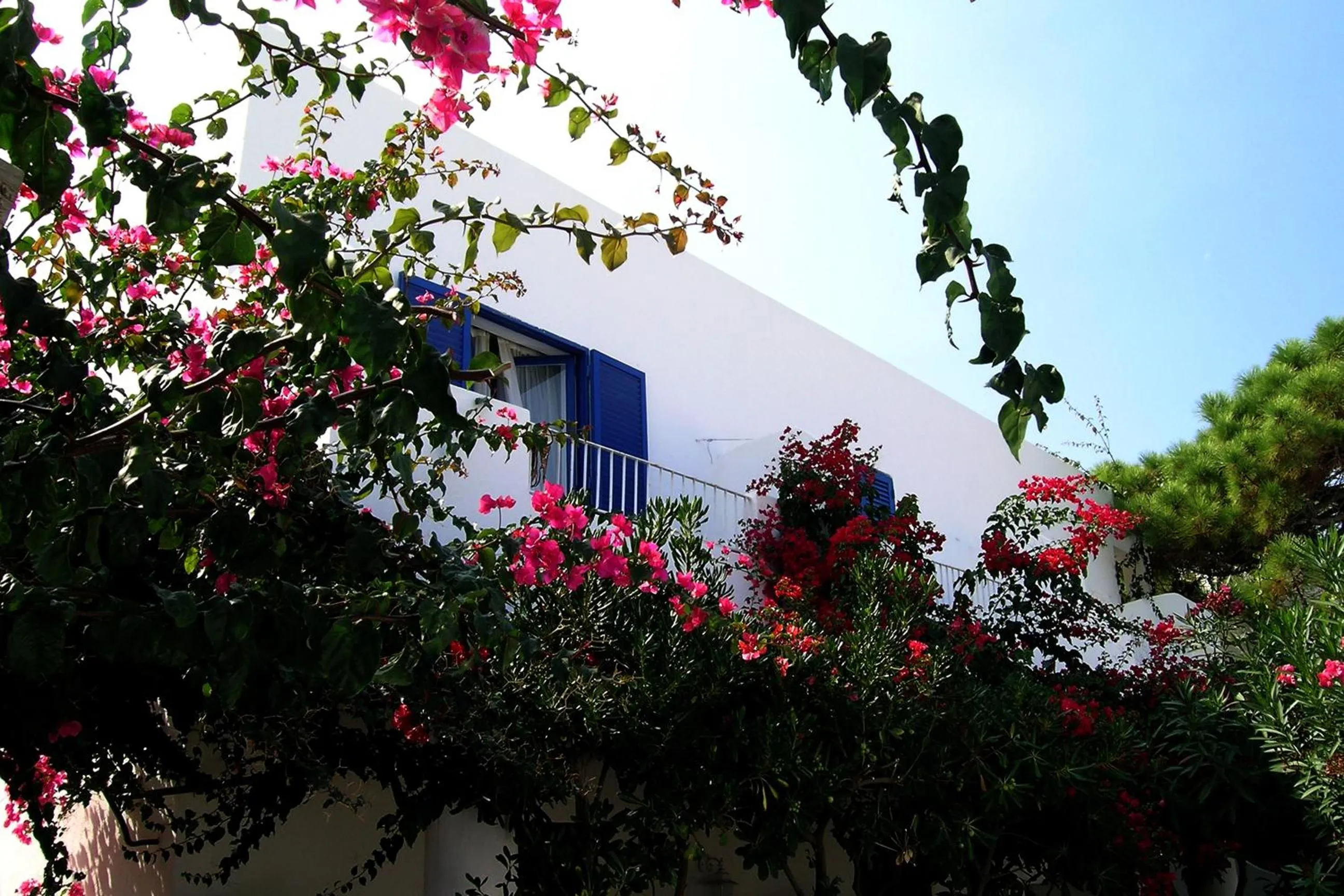 Decorative detail in La Sirenetta Park Hotel