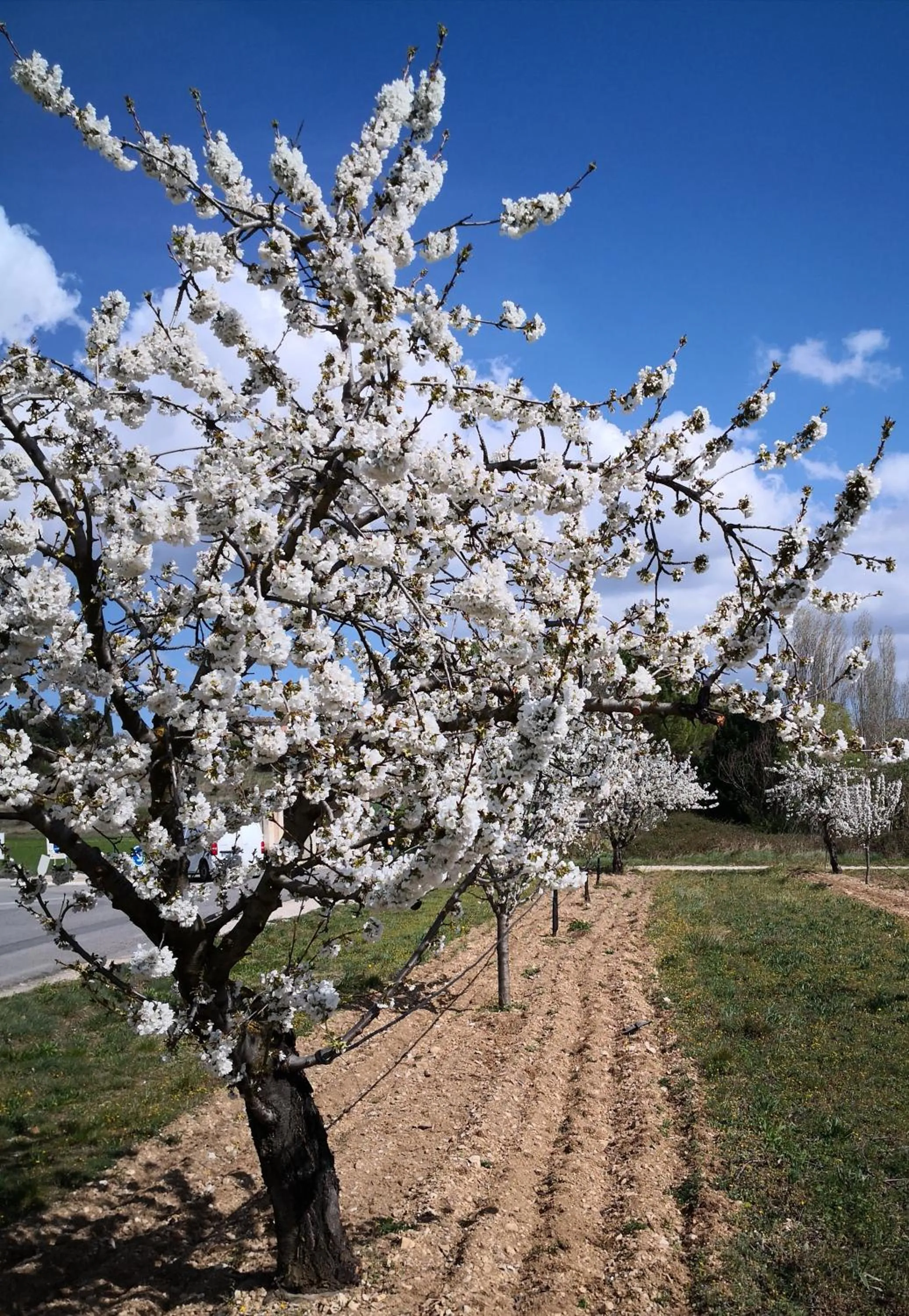 La Colline des Ocres Village de vacances 3 étoiles