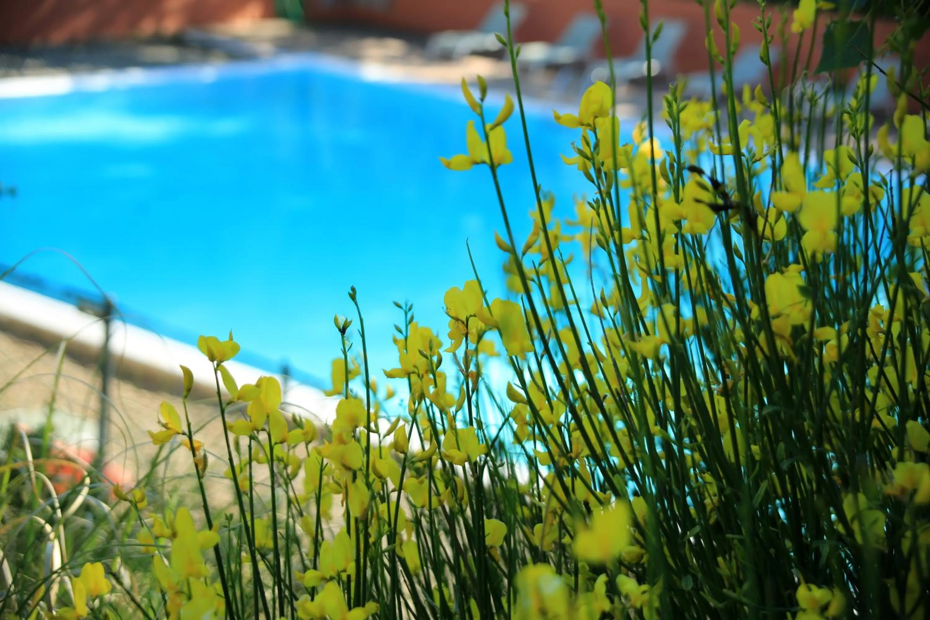 Pool view in La Colline des Ocres Village de vacances 3 étoiles