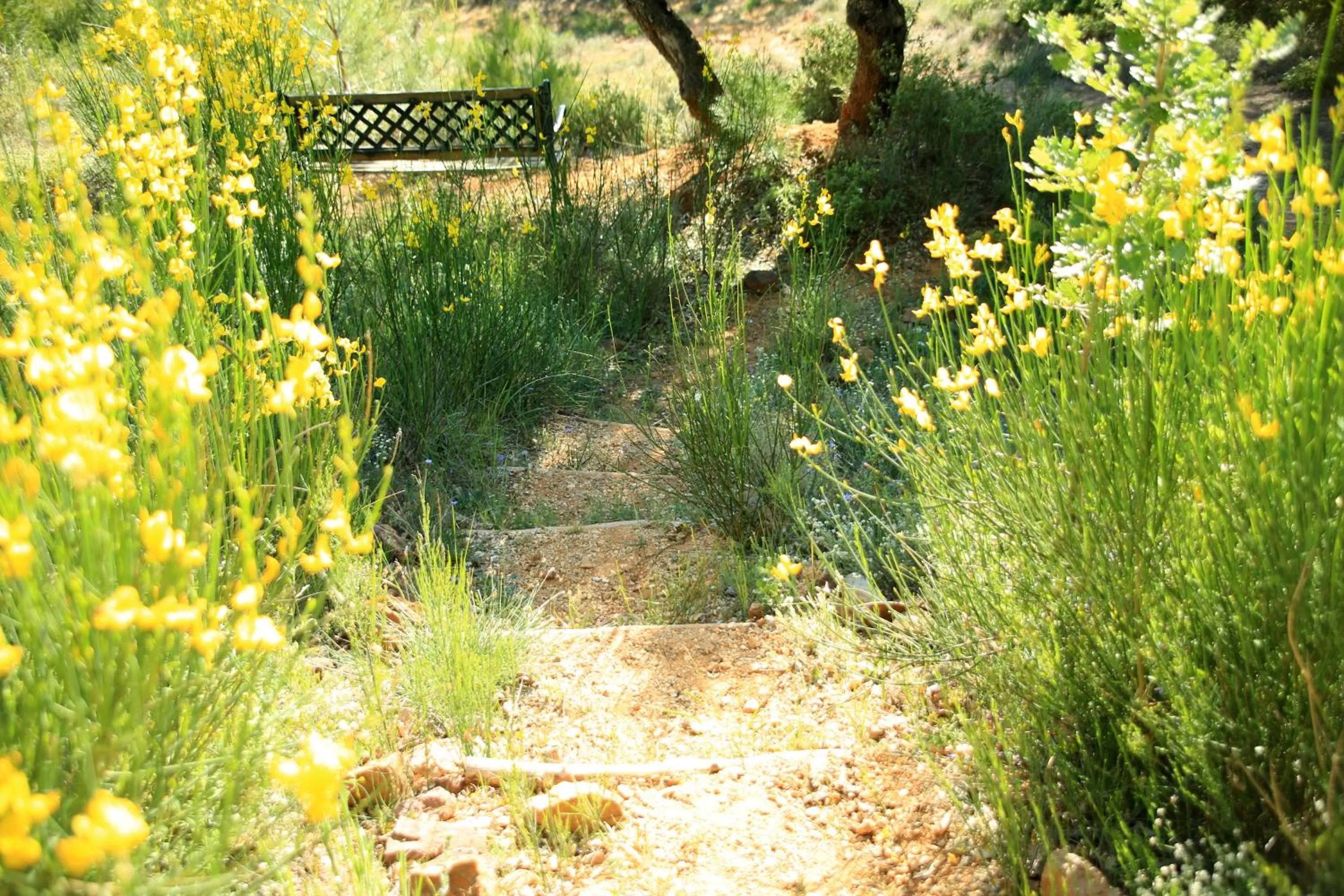 View (from property/room) in La Colline des Ocres Village de vacances 3 étoiles