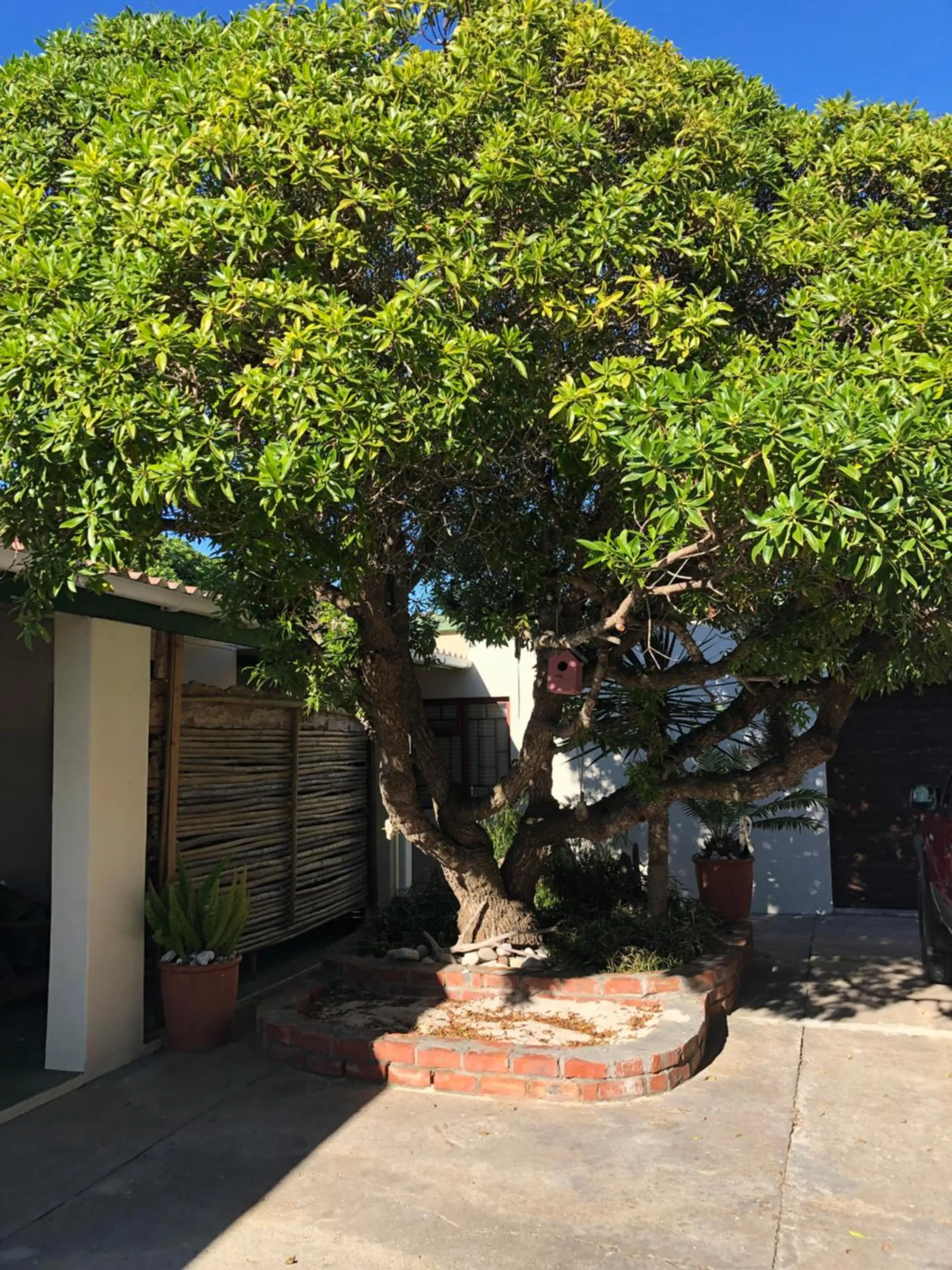 Old Cape Last Trading Post