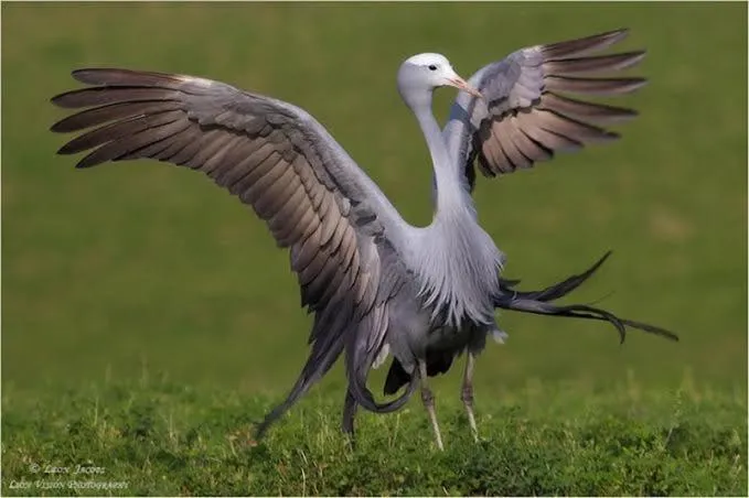 Old Cape Last Trading Post