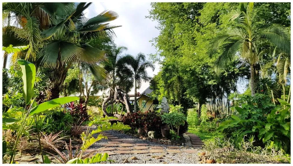Garden in Baan Sakuna Hotel