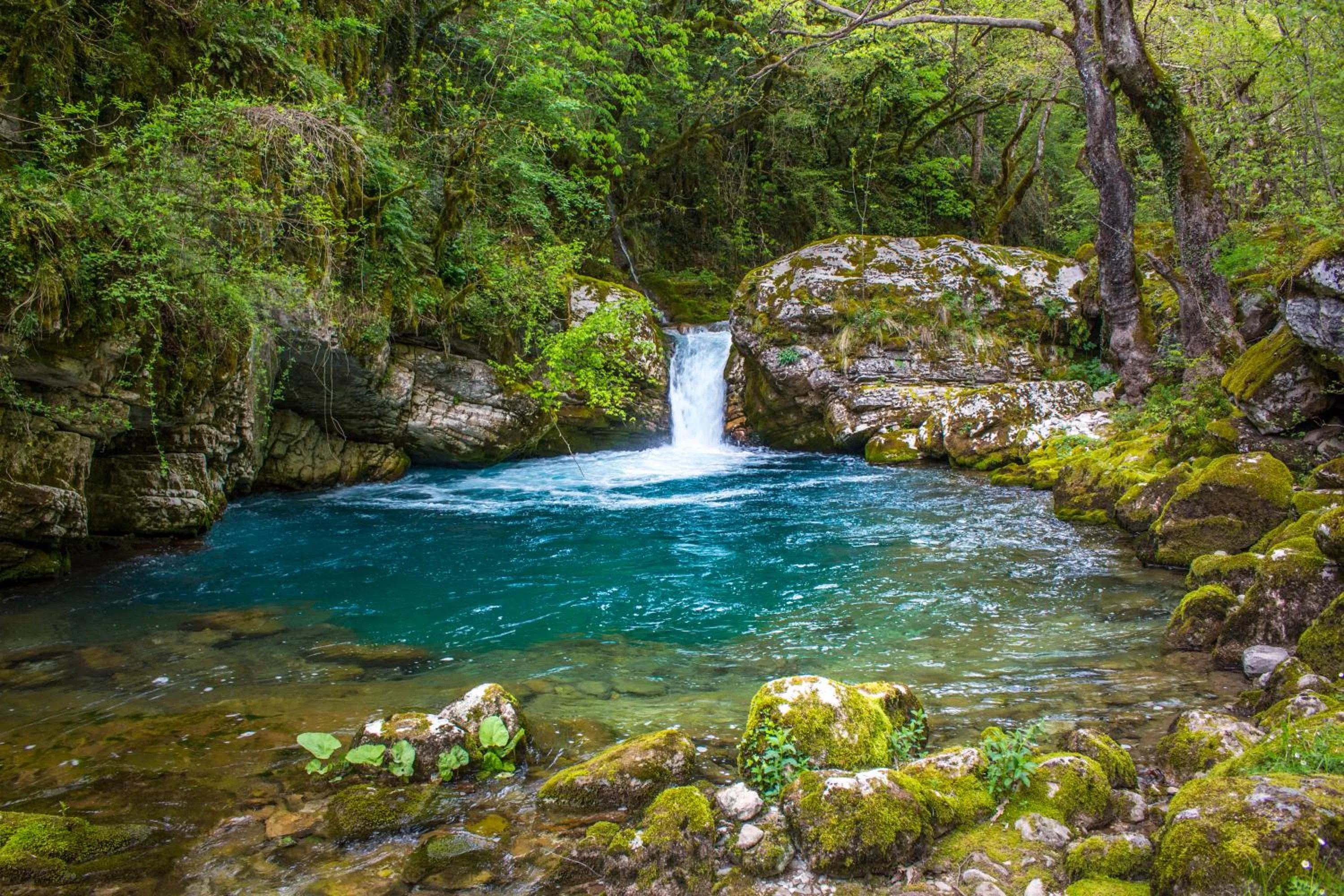 Natural landscape in Anavasi Mountain Resort