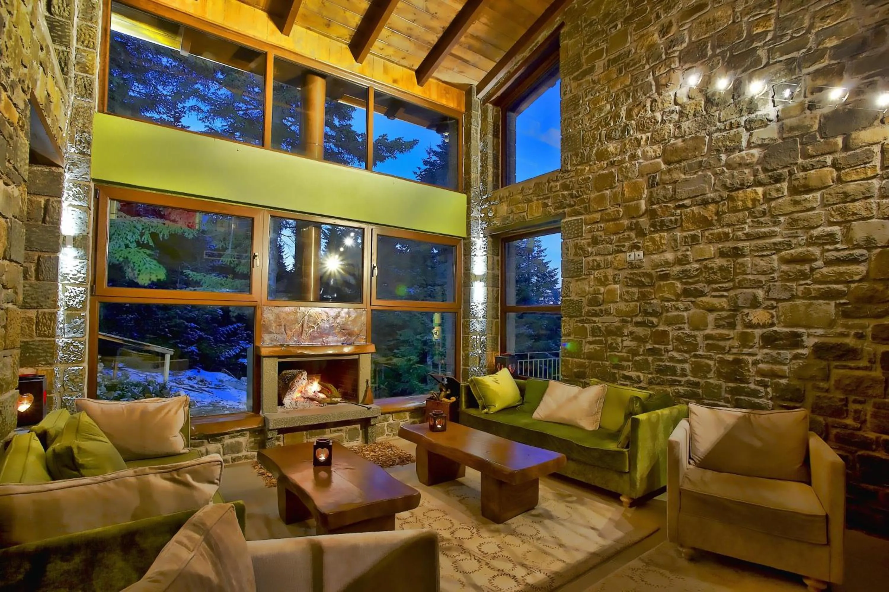 Lobby or reception in Anavasi Mountain Resort