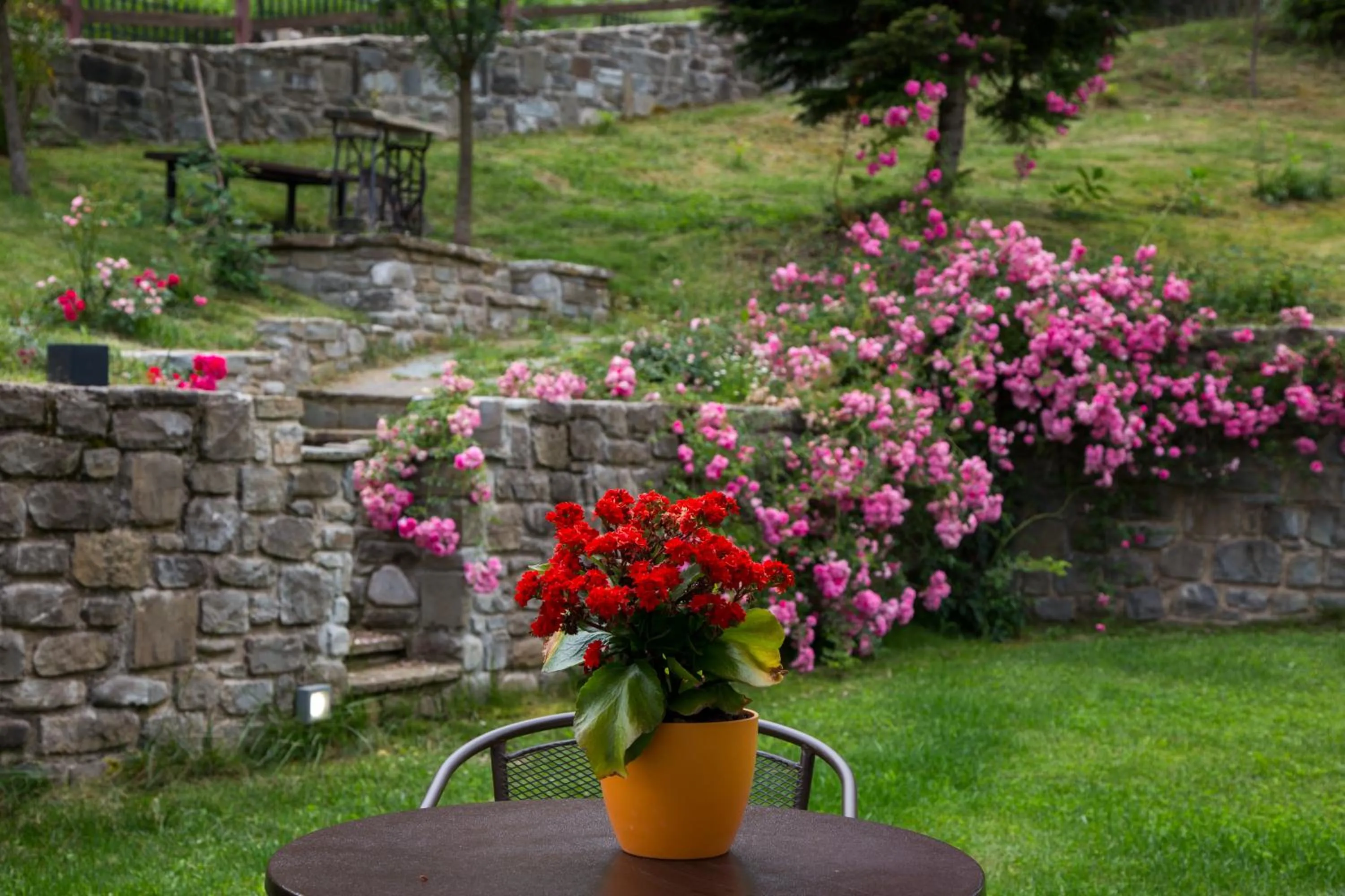 Garden in Anavasi Mountain Resort