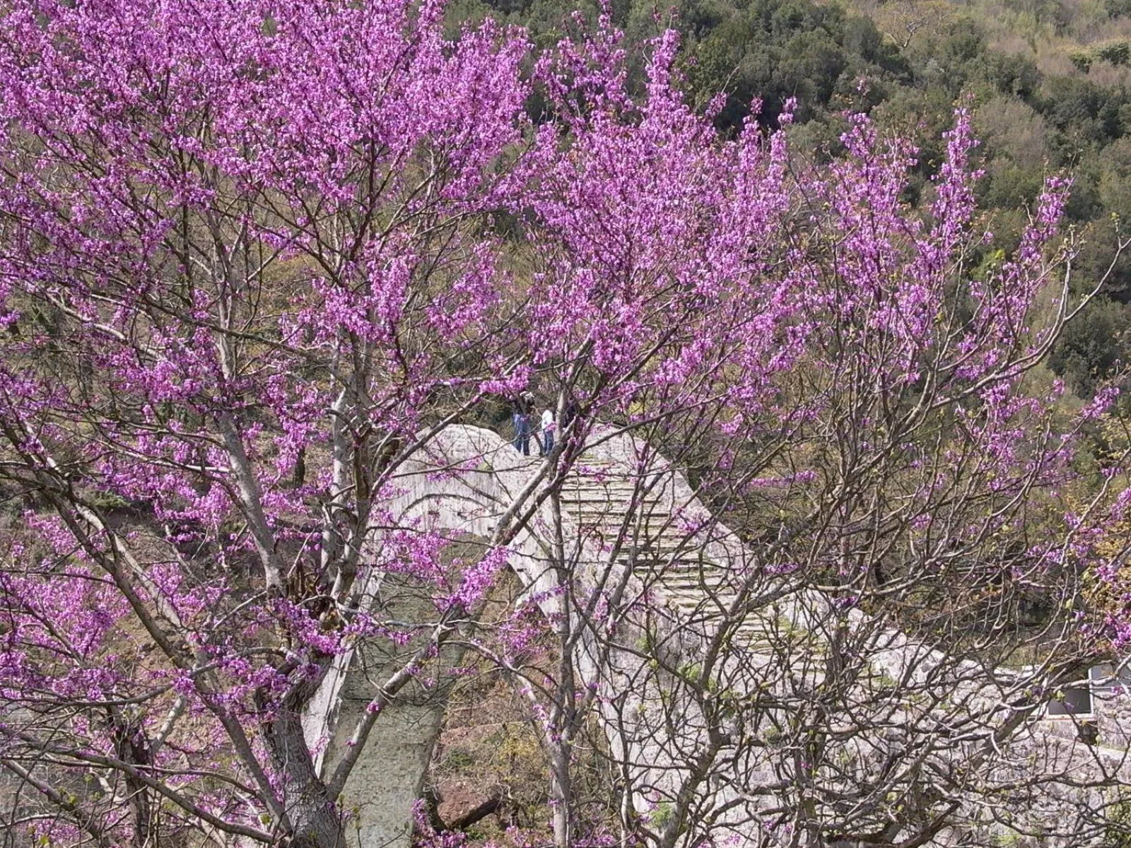 Off site in Anavasi Mountain Resort