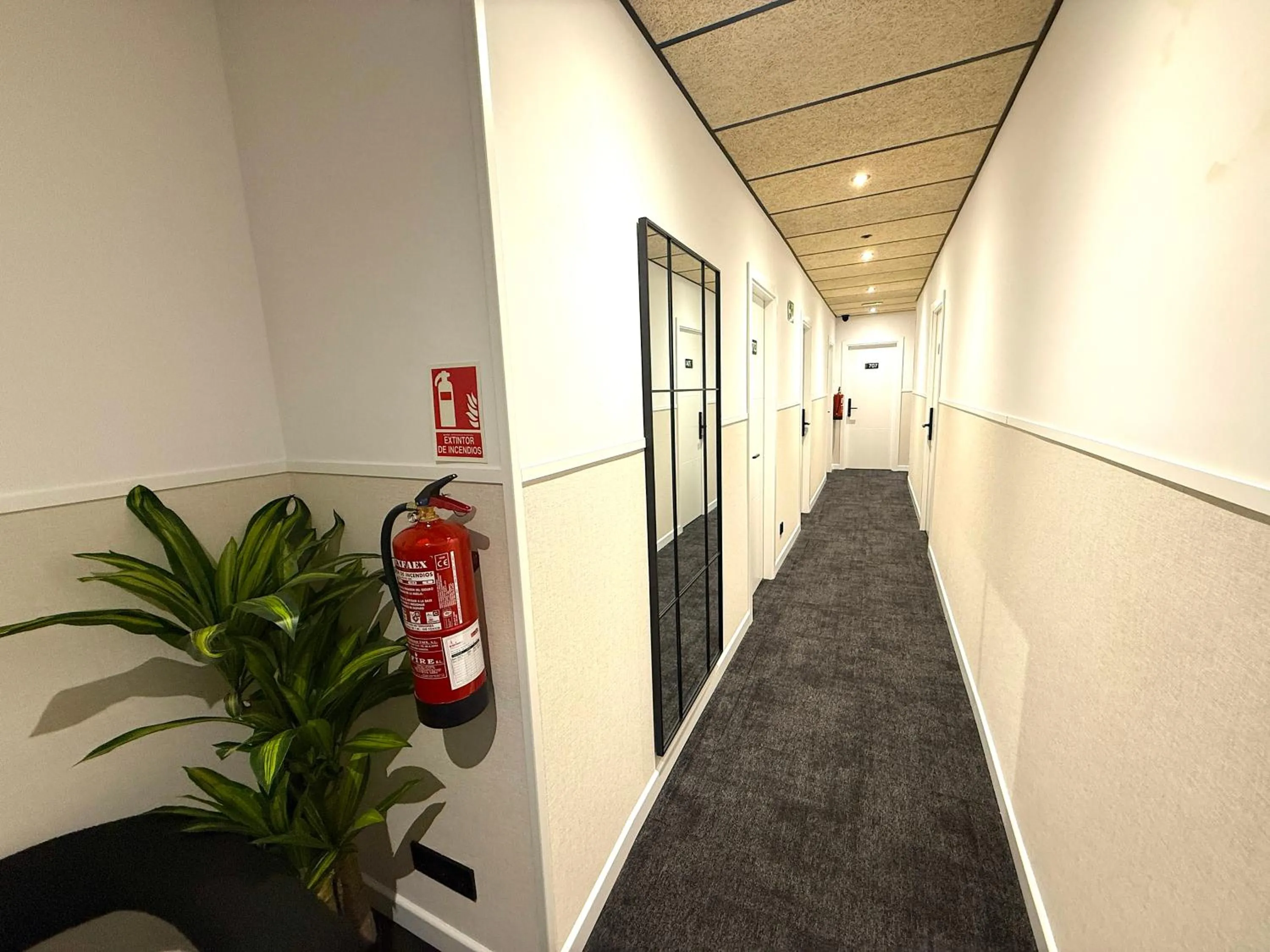 Area and facilities in Mucho Madrid