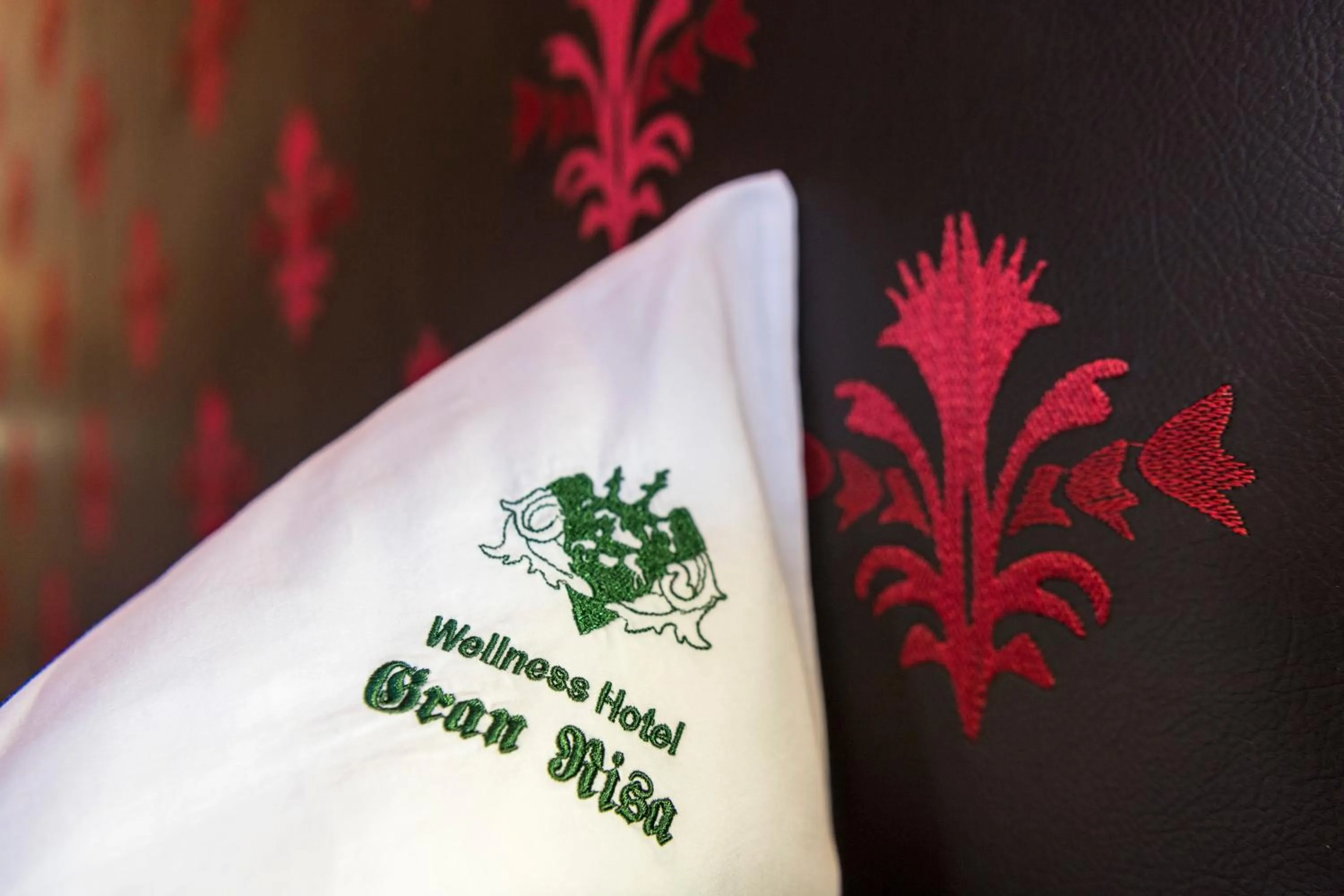 Wellness Hotel Gran Risa***S