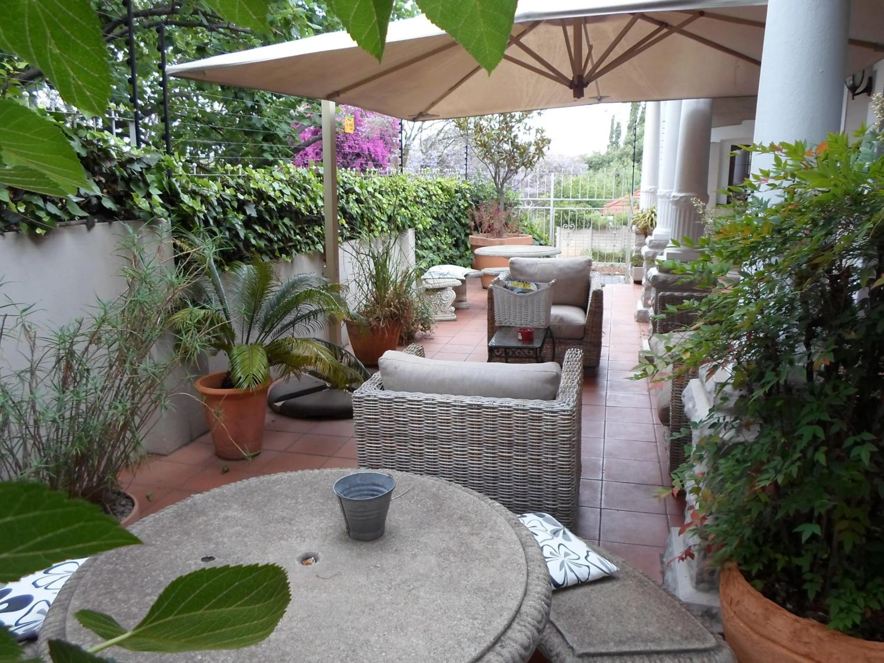 Garden in Melville Turret Guesthouse