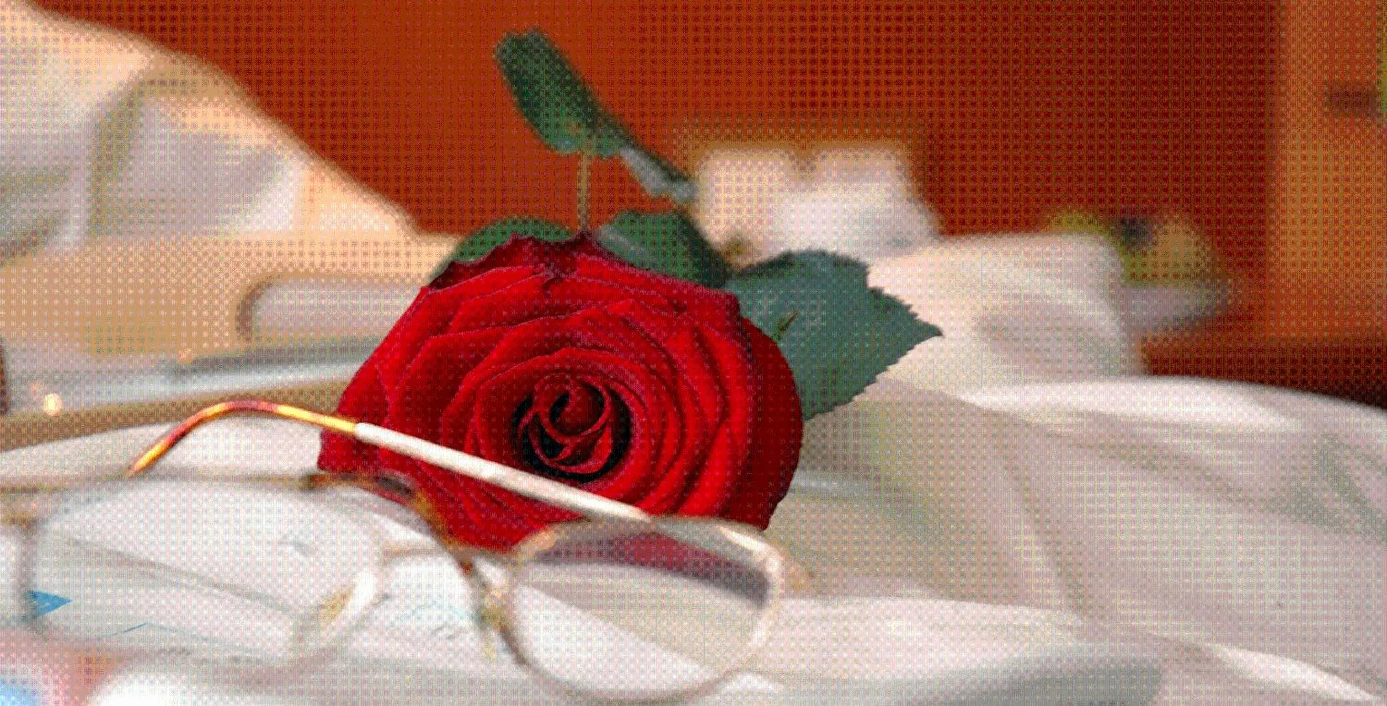 Bed in Müllers Landhotel