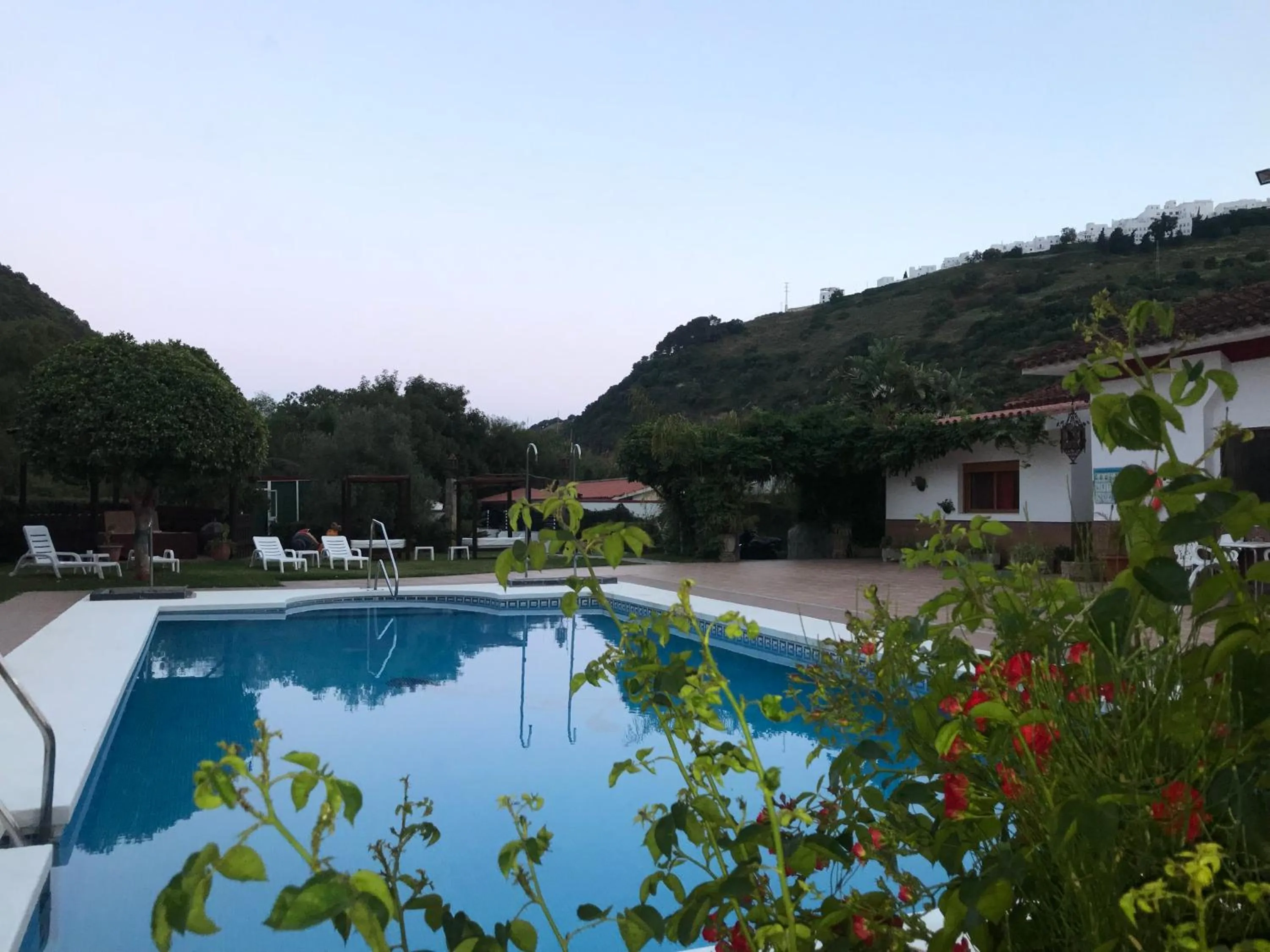 Garden in Hotel El Paso