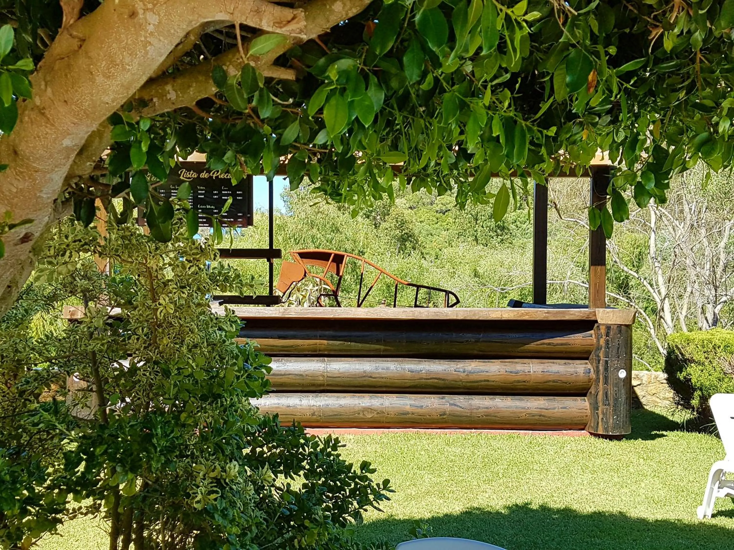 Garden in Hotel El Paso