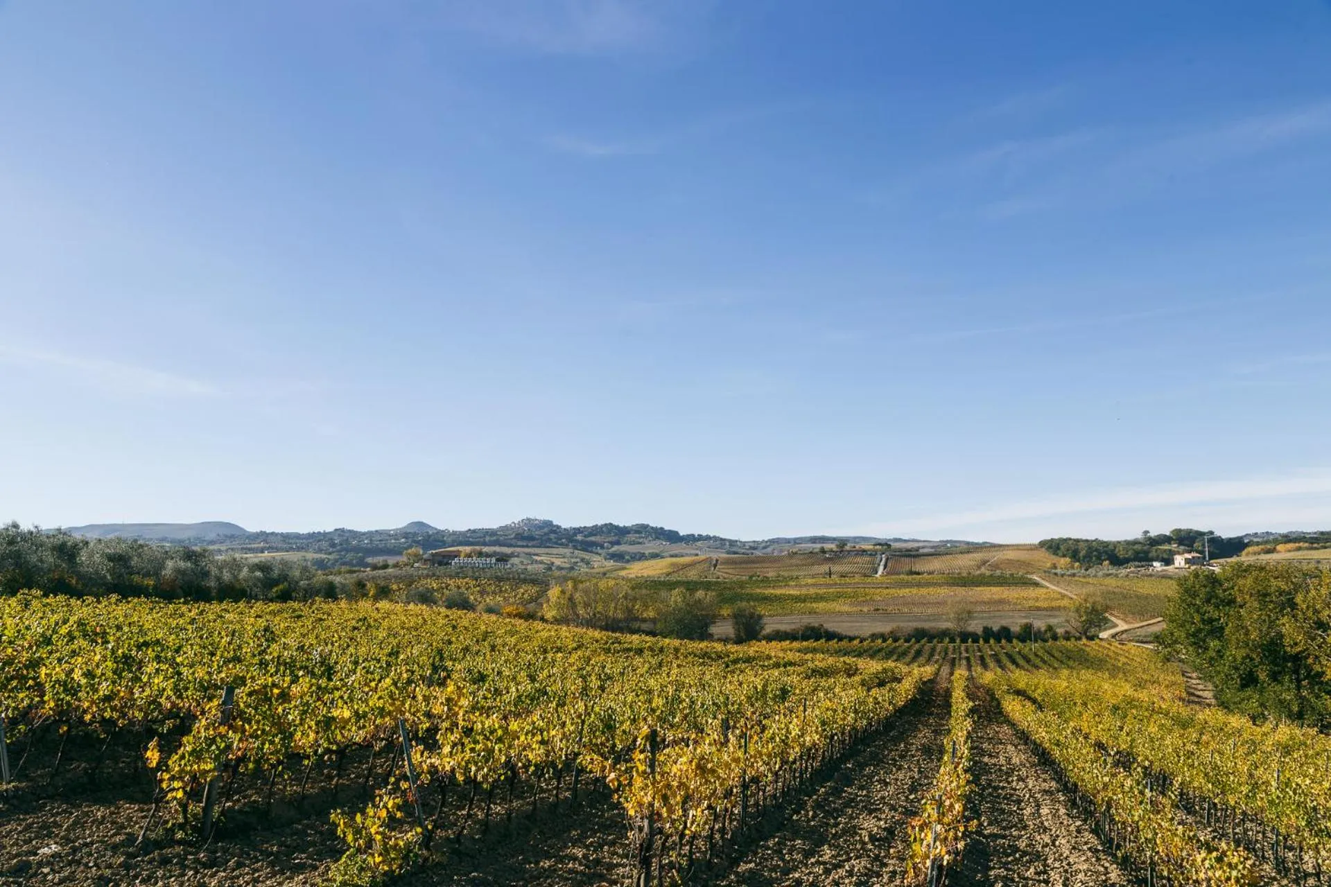 View (from property/room) in L'Orto Di Panza