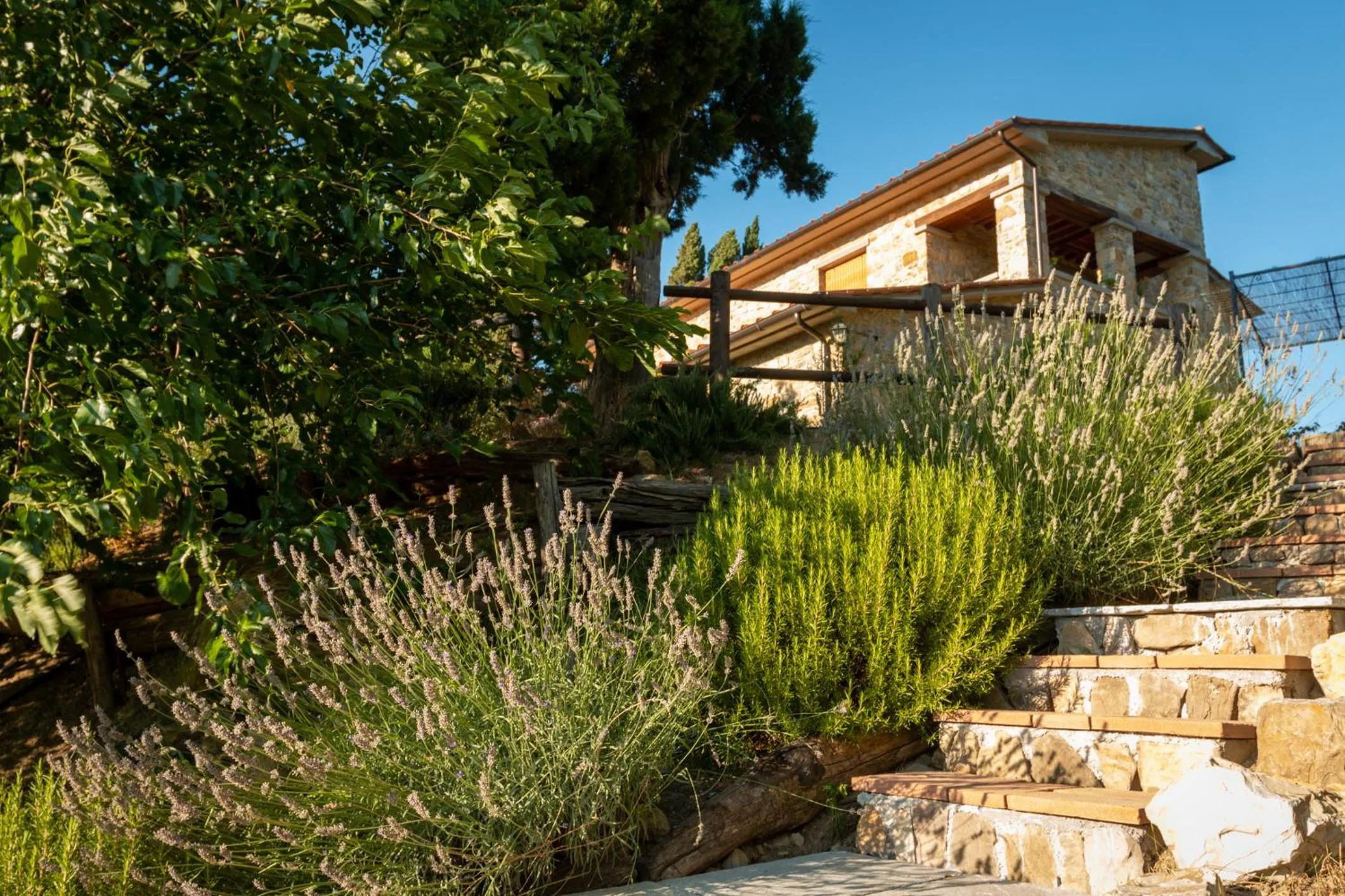 Garden in B&B Lavanda e Rosmarino