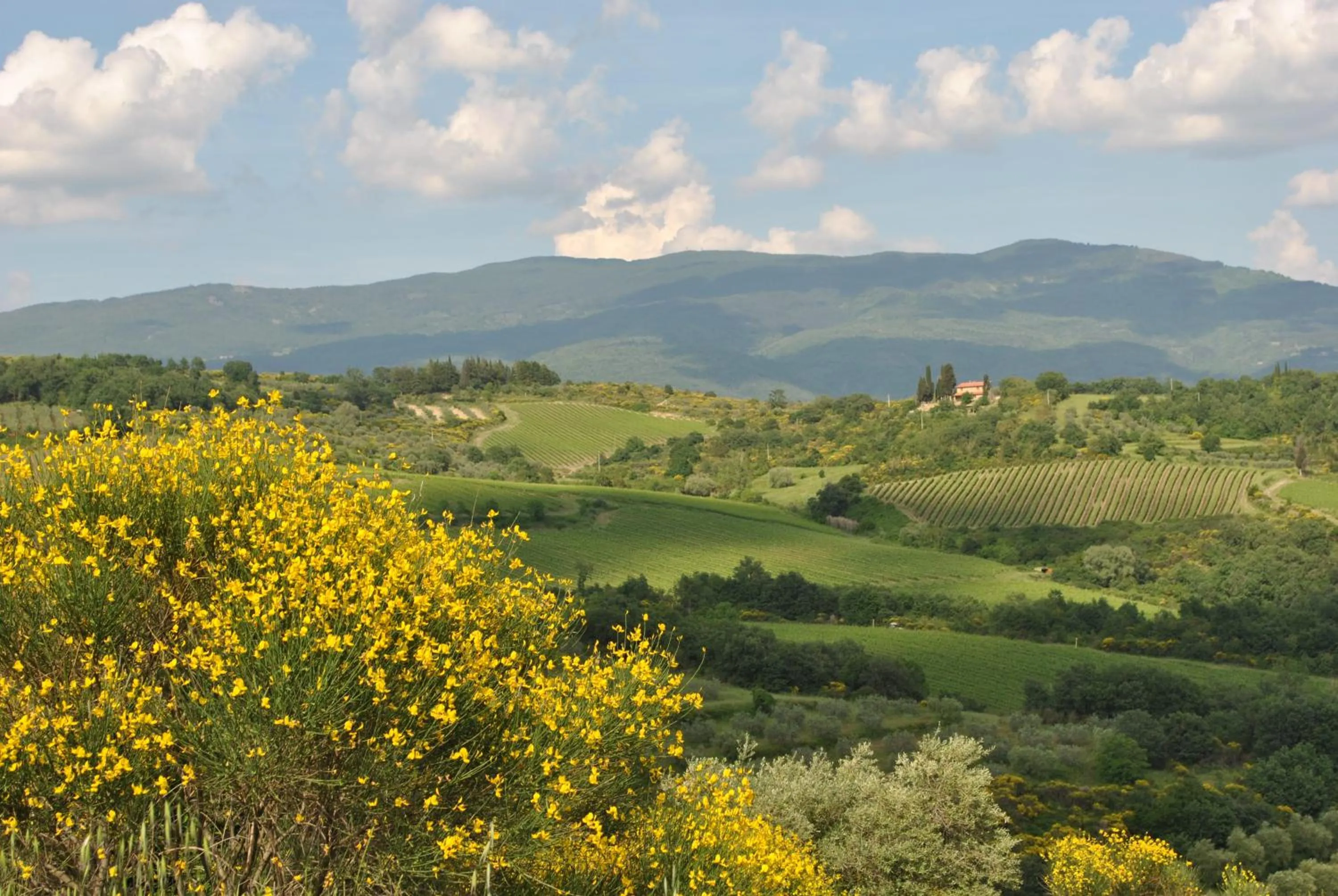 Natural landscape in B&B Lavanda e Rosmarino