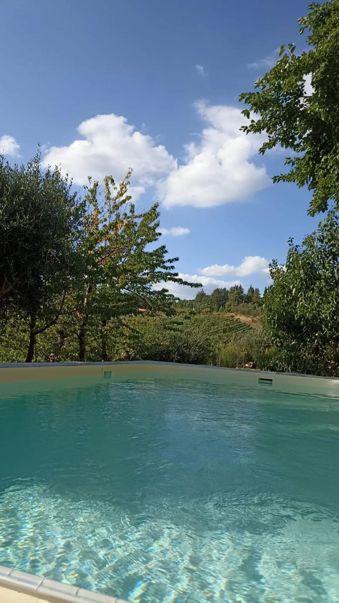 Swimming pool in B&B Lavanda e Rosmarino