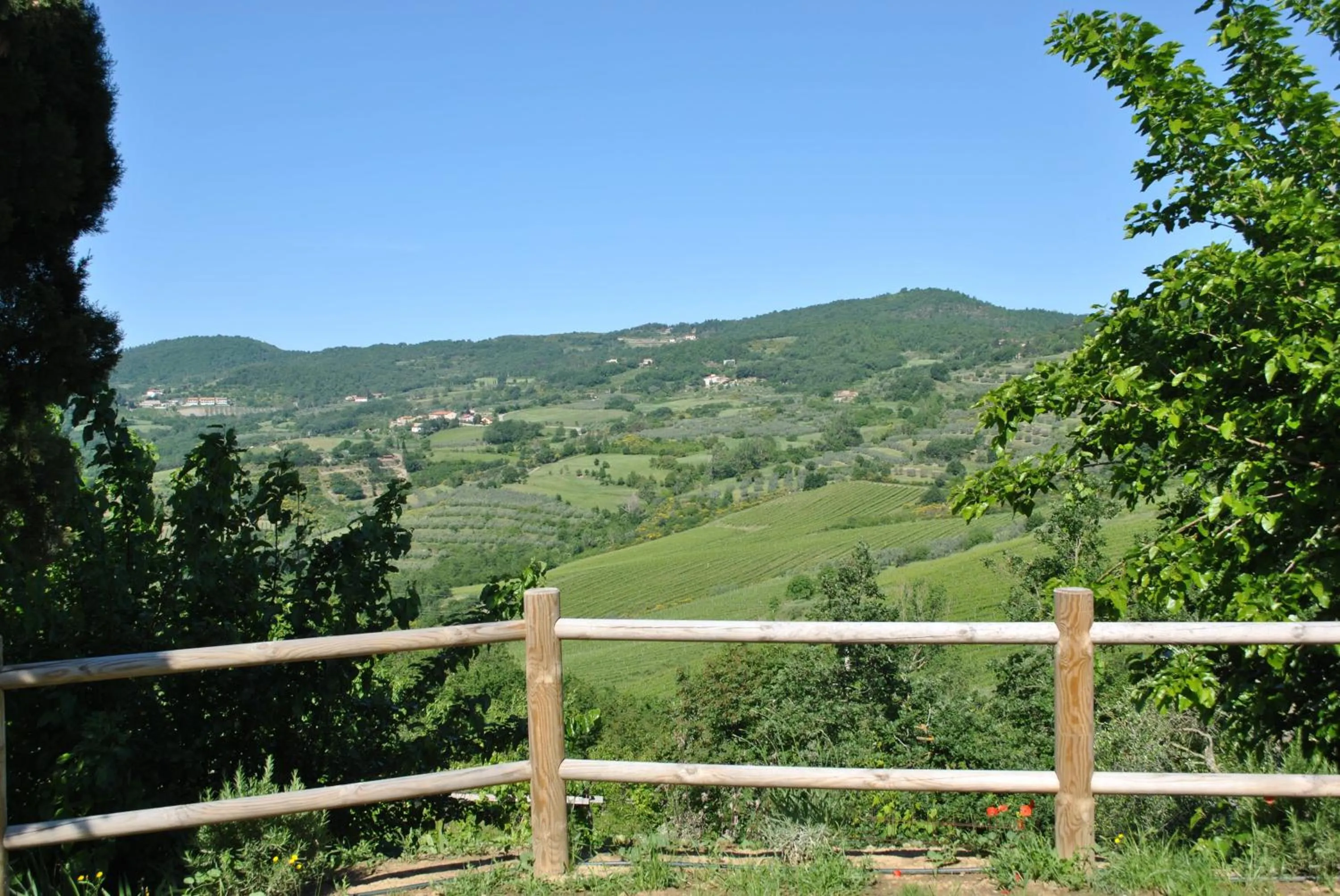 Garden in B&B Lavanda e Rosmarino