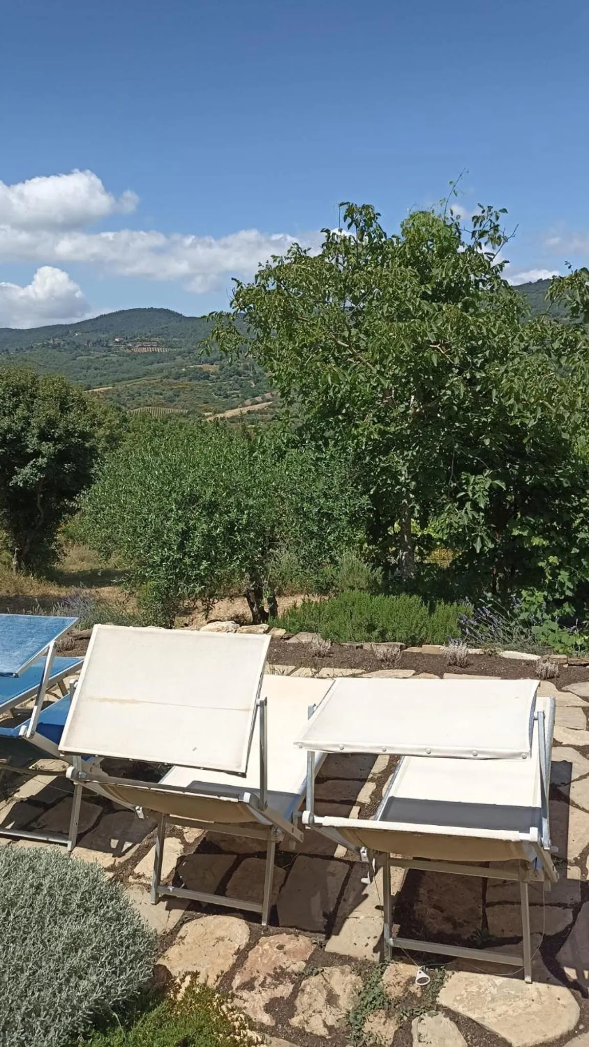 Natural landscape in B&B Lavanda e Rosmarino
