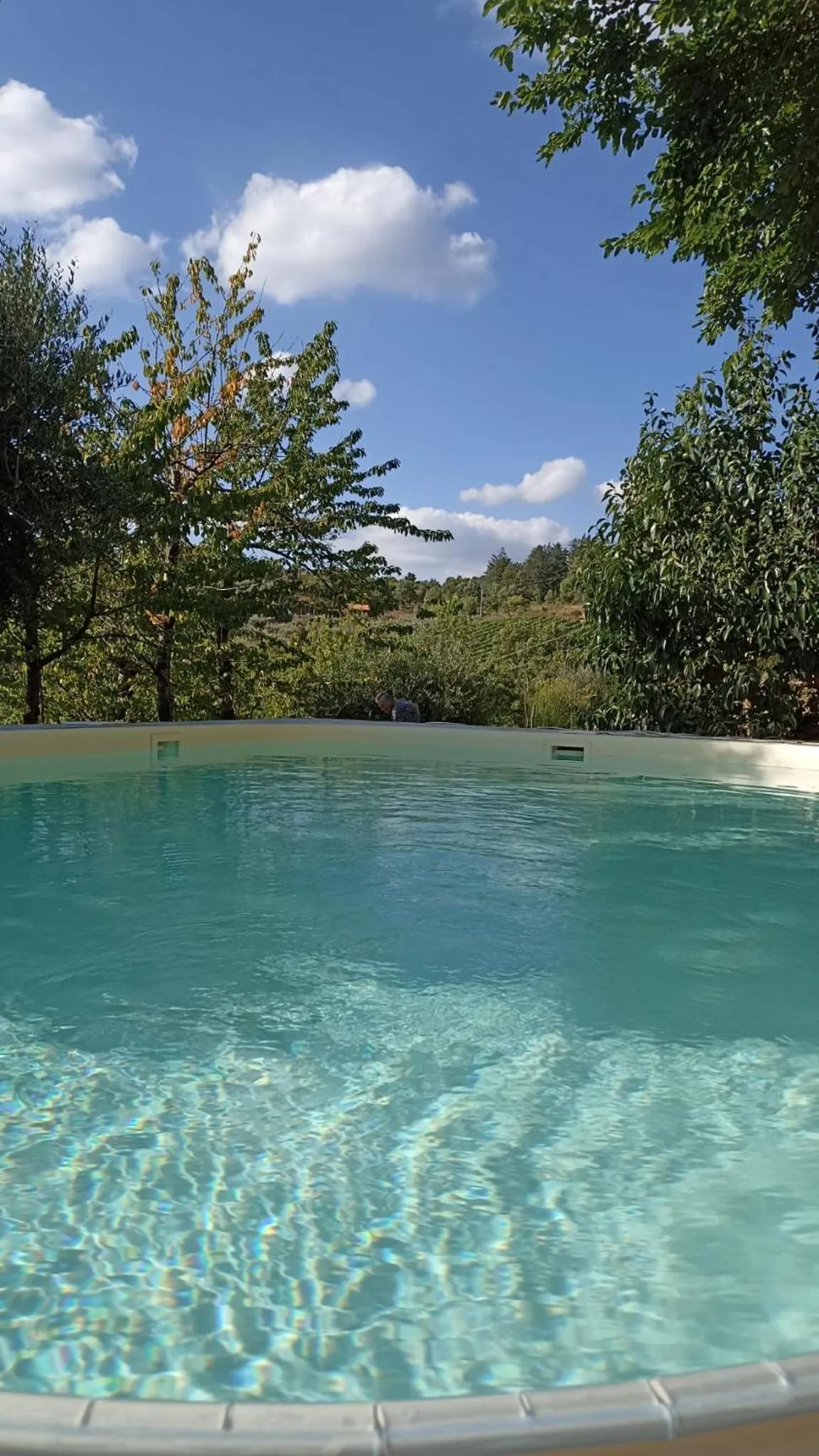 Natural landscape in B&B Lavanda e Rosmarino