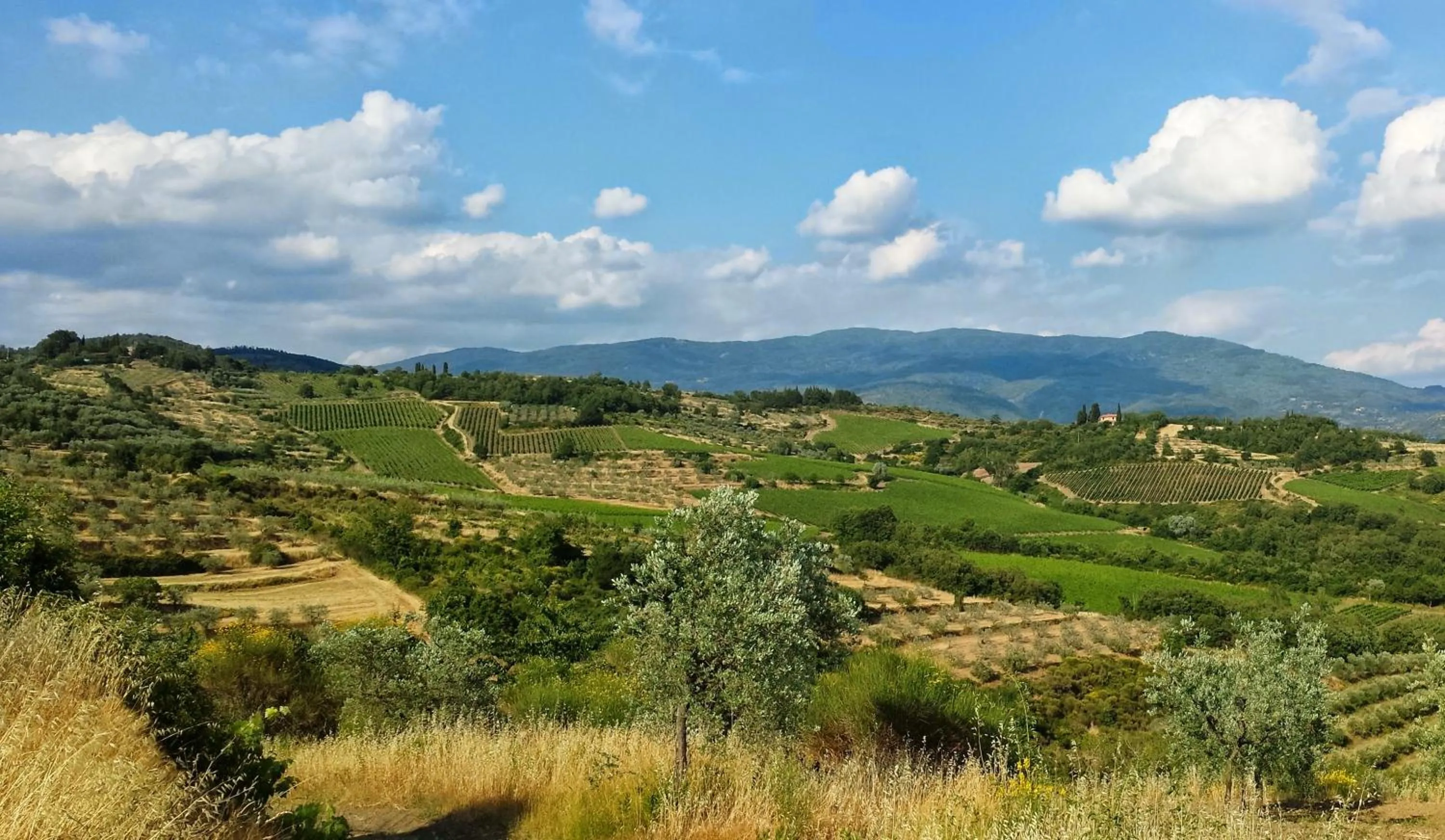 Natural landscape in B&B Lavanda e Rosmarino
