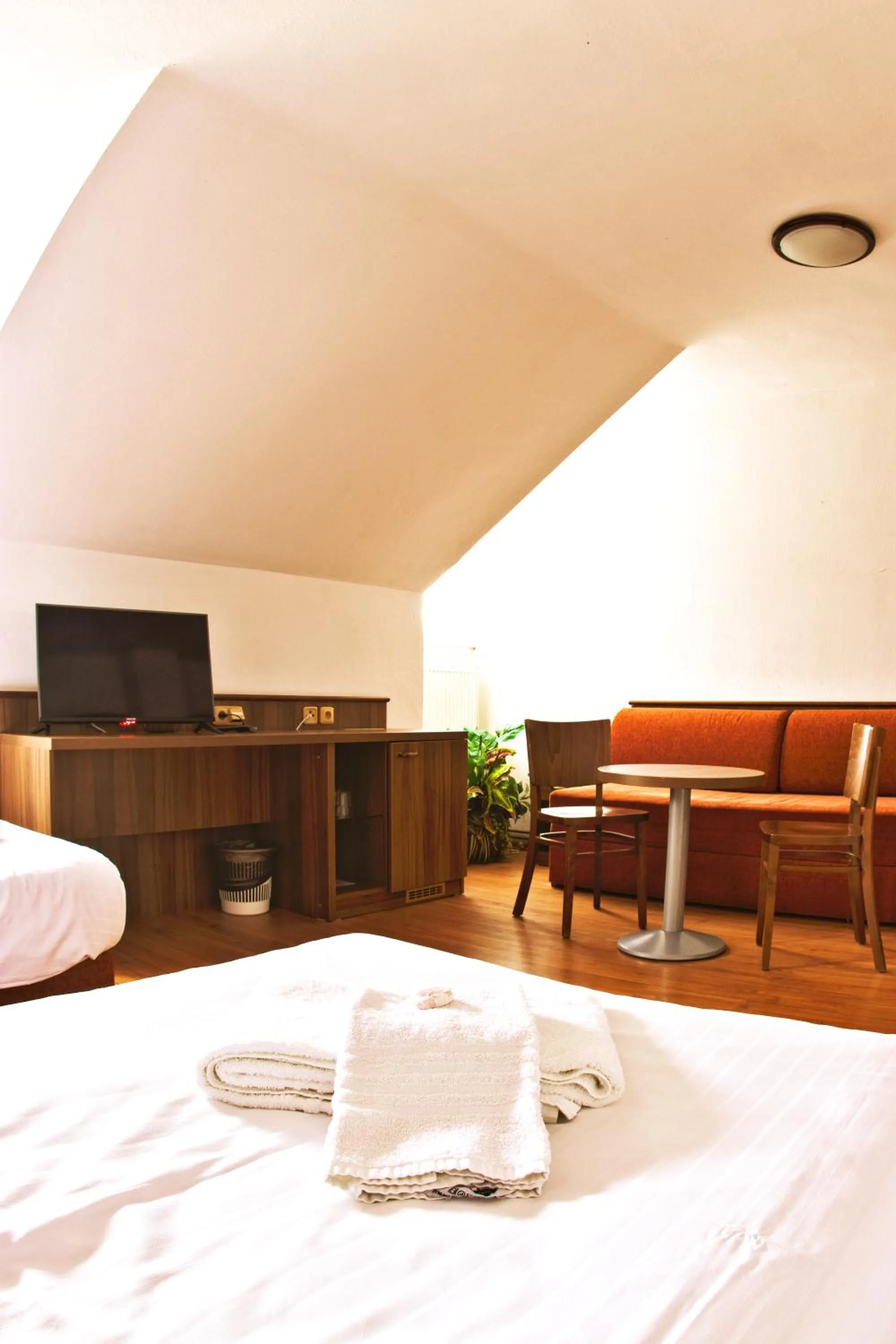 Photo of the whole room, Bed in Hotel Kácov